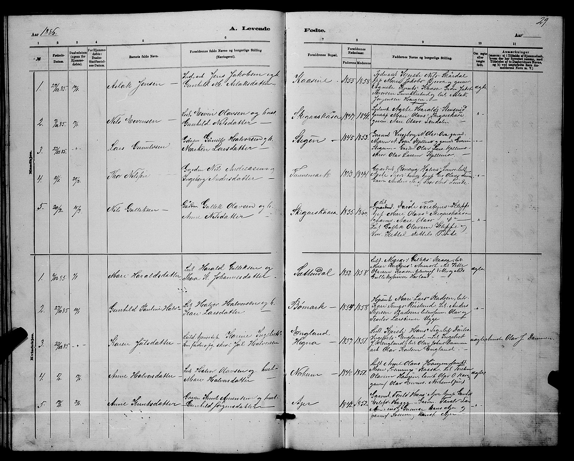 Lunde kirkebøker, SAKO/A-282/G/Ga/L0001b: Parish register (copy) no. I 1, 1879-1887, p. 29