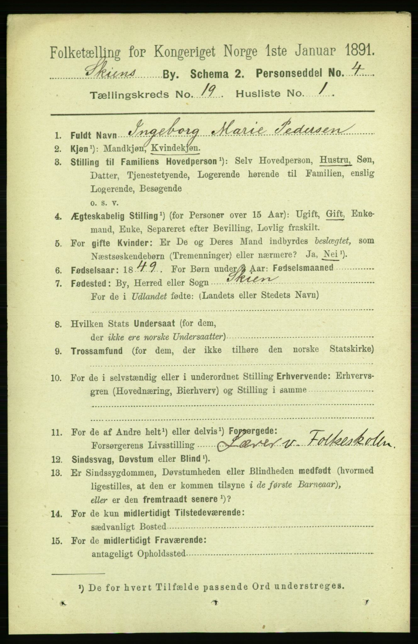 RA, 1891 census for 0806 Skien, 1891, p. 5065