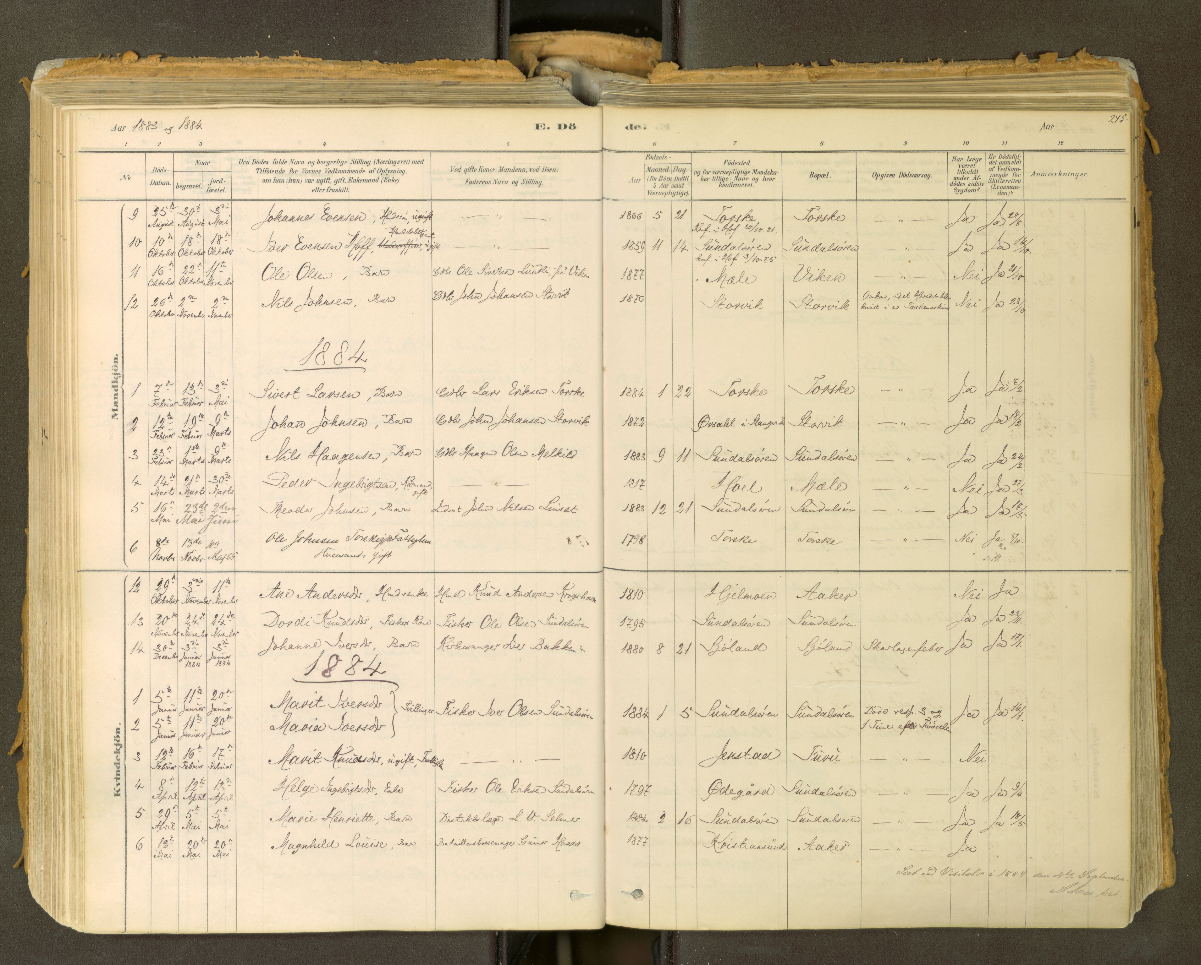 Sunndal sokneprestkontor, SAT/A-1085/1/I/I1/I1a: Parish register (official) no. 2, 1877-1914, p. 245