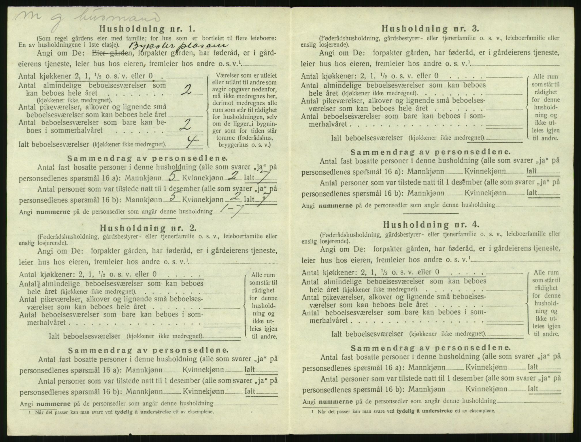 SAT, 1920 census for Nesset, 1920, p. 507