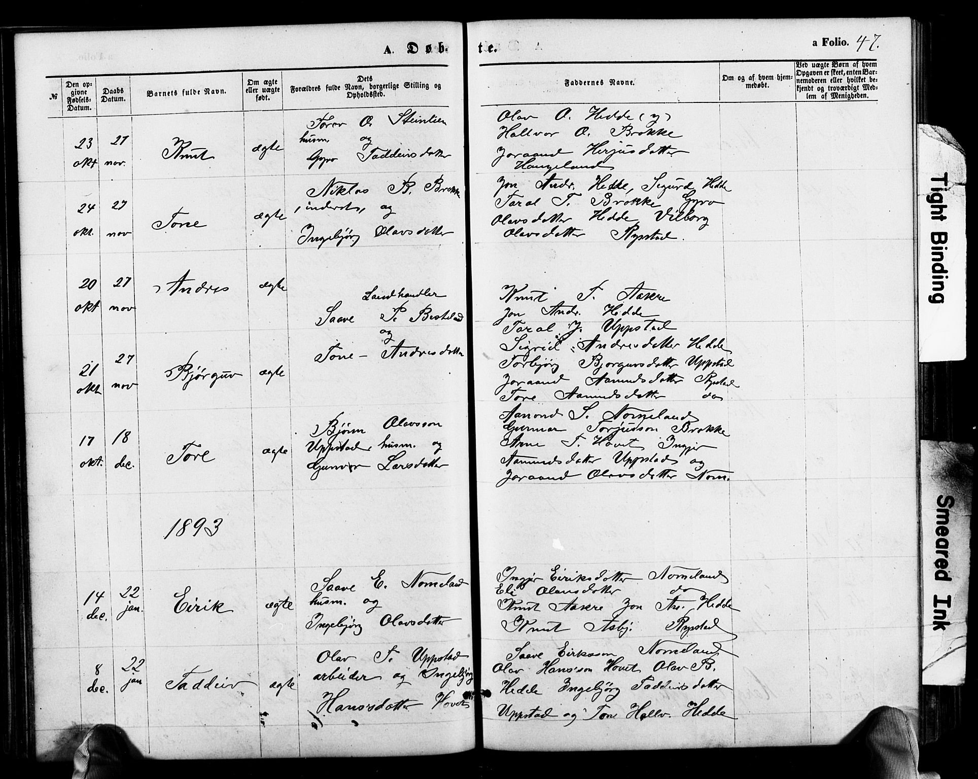 Valle sokneprestkontor, SAK/1111-0044/F/Fb/Fbb/L0002: Parish register (copy) no. B 2, 1875-1921, p. 47