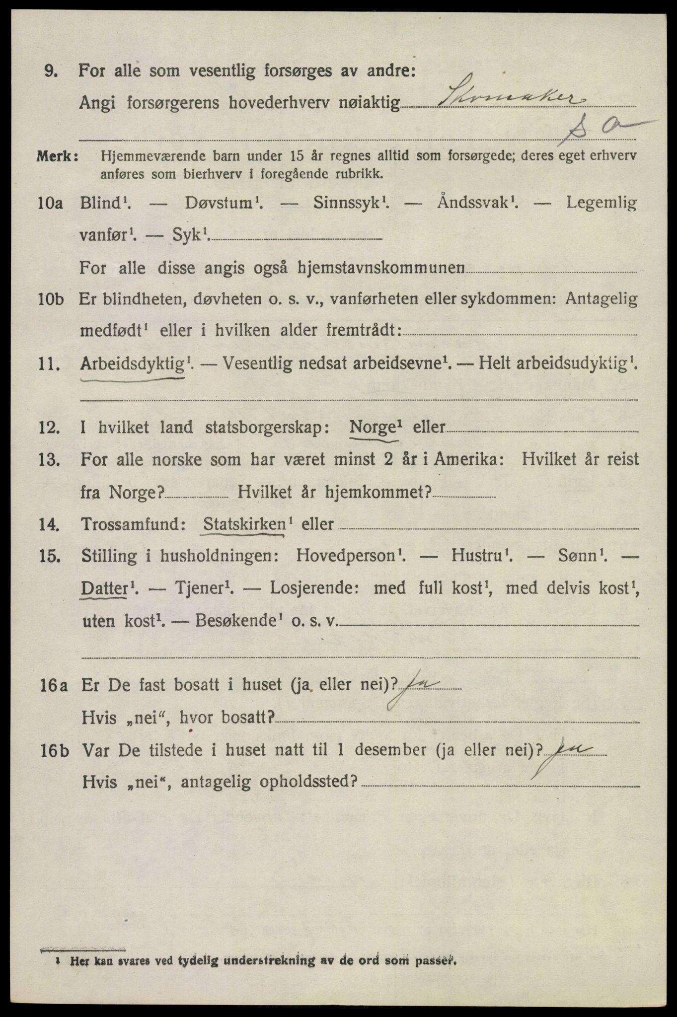 SAKO, 1920 census for Brunlanes, 1920, p. 9248