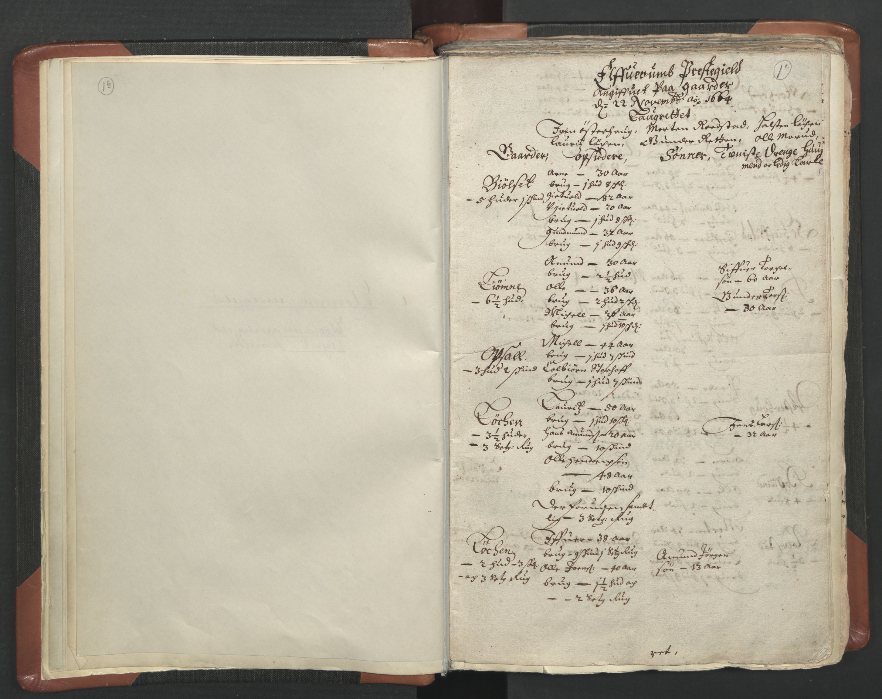RA, Vicar's Census 1664-1666, no. 5: Hedmark deanery, 1664-1666, p. 1b-1c