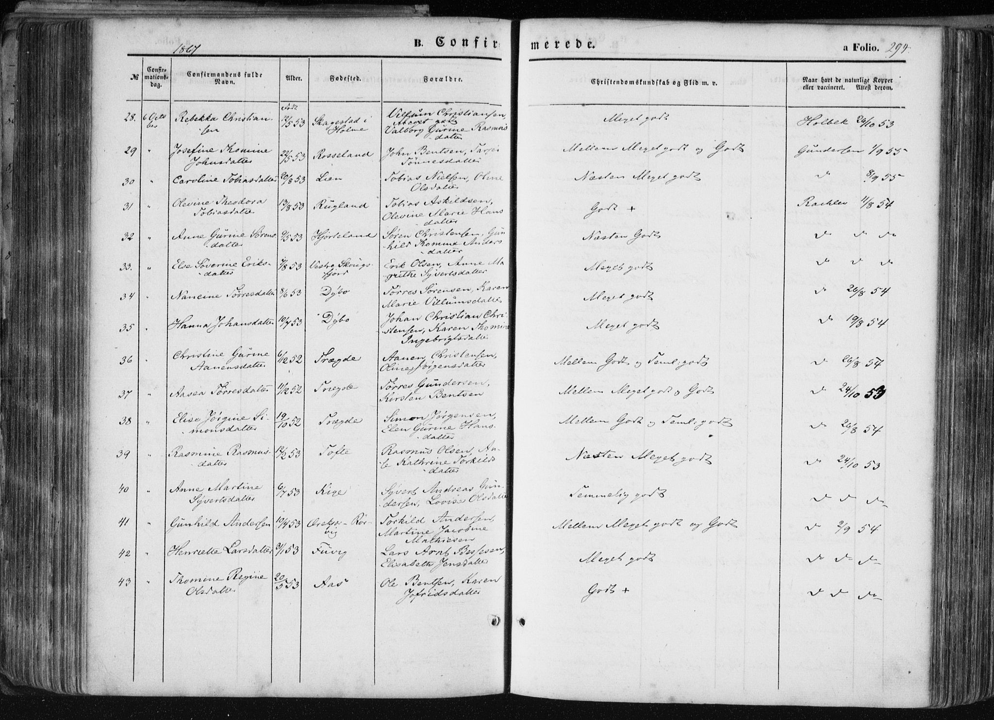 Mandal sokneprestkontor, AV/SAK-1111-0030/F/Fa/Faa/L0014: Parish register (official) no. A 14, 1859-1872, p. 294