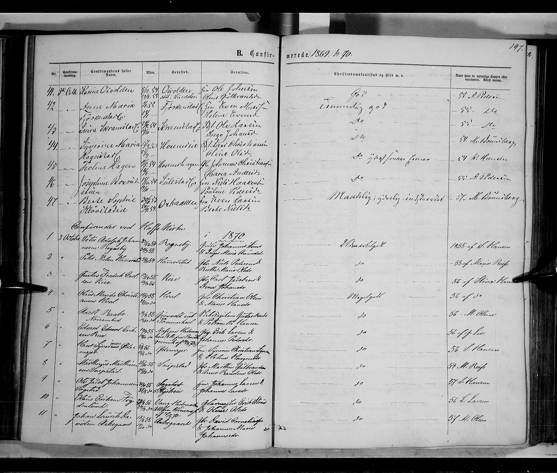 Østre Toten prestekontor, SAH/PREST-104/H/Ha/Haa/L0005: Parish register (official) no. 5, 1866-1877, p. 197
