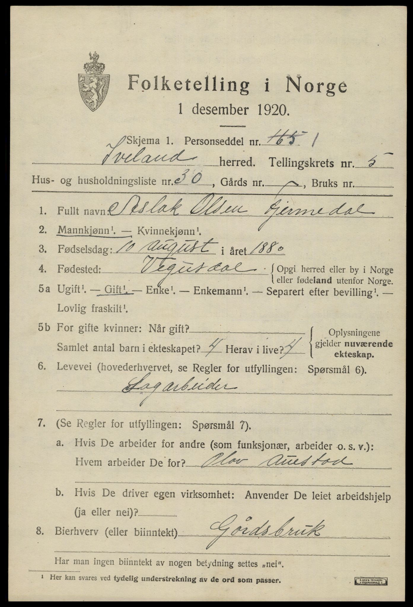 SAK, 1920 census for Iveland, 1920, p. 1915