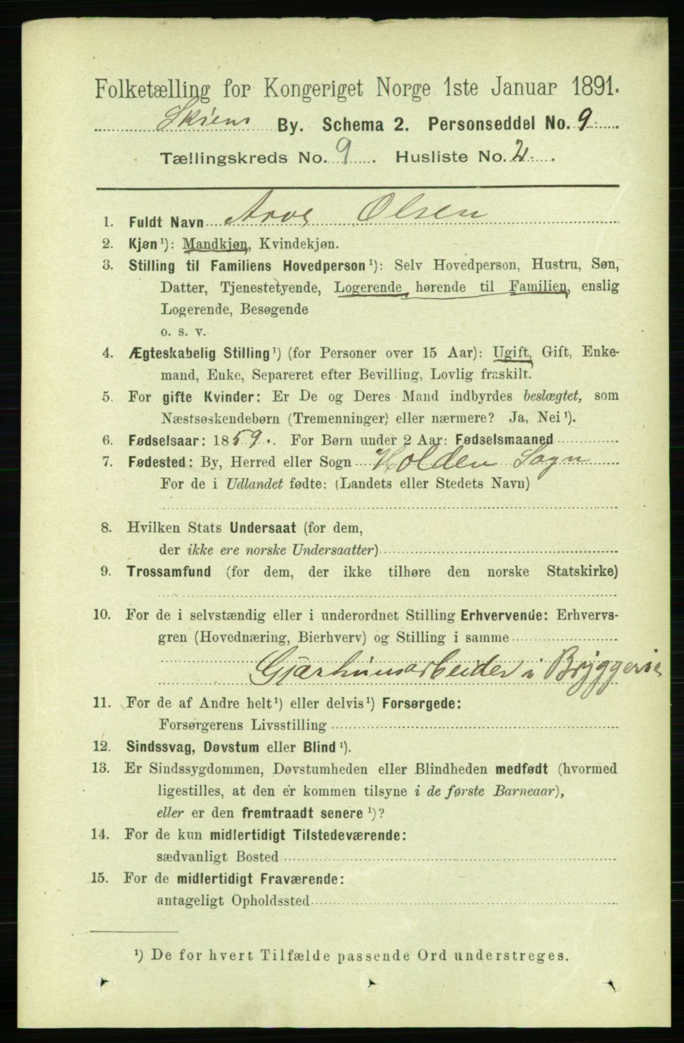 RA, 1891 census for 0806 Skien, 1891, p. 3535