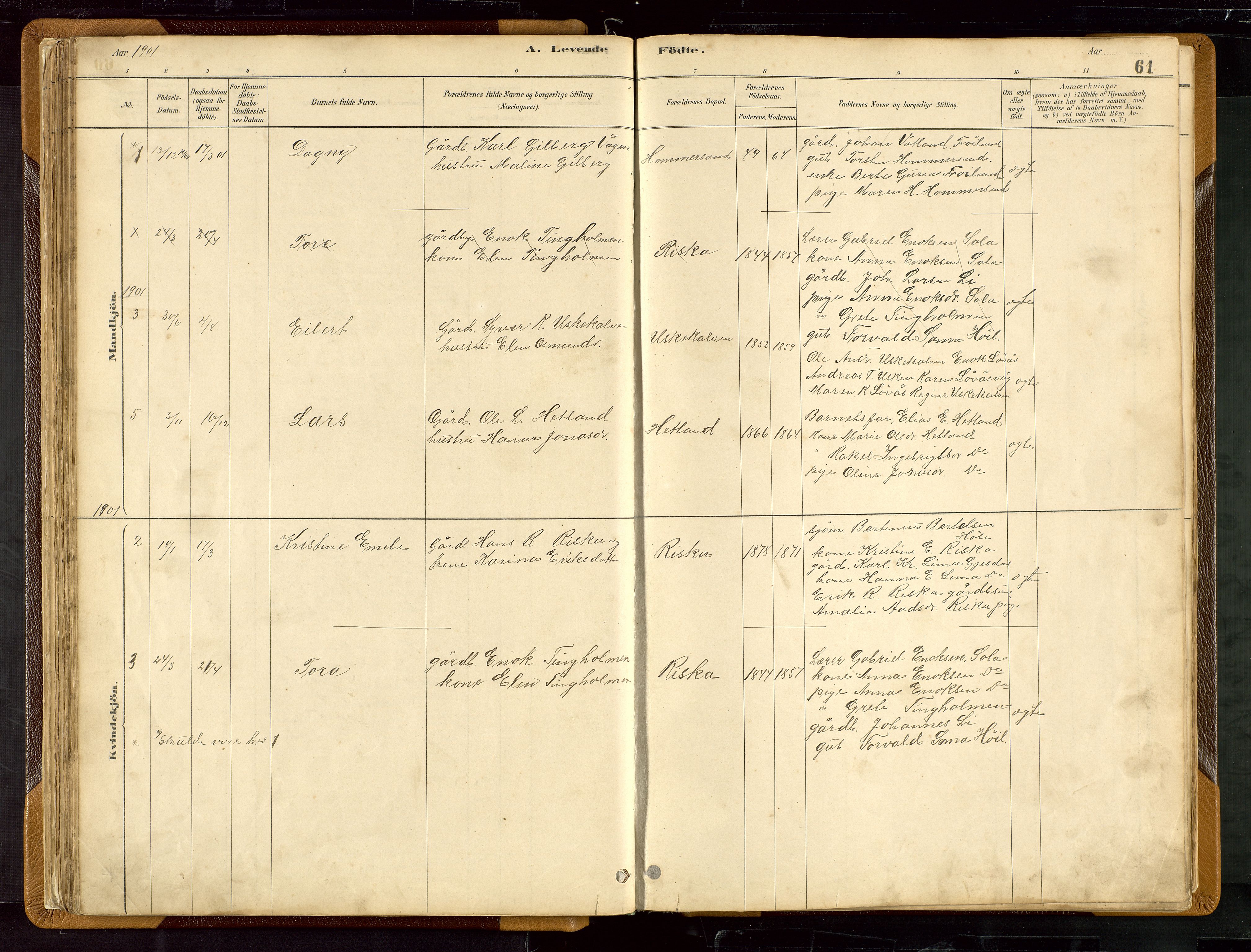 Hetland sokneprestkontor, SAST/A-101826/30/30BB/L0007: Parish register (copy) no. B 7, 1878-1910, p. 61
