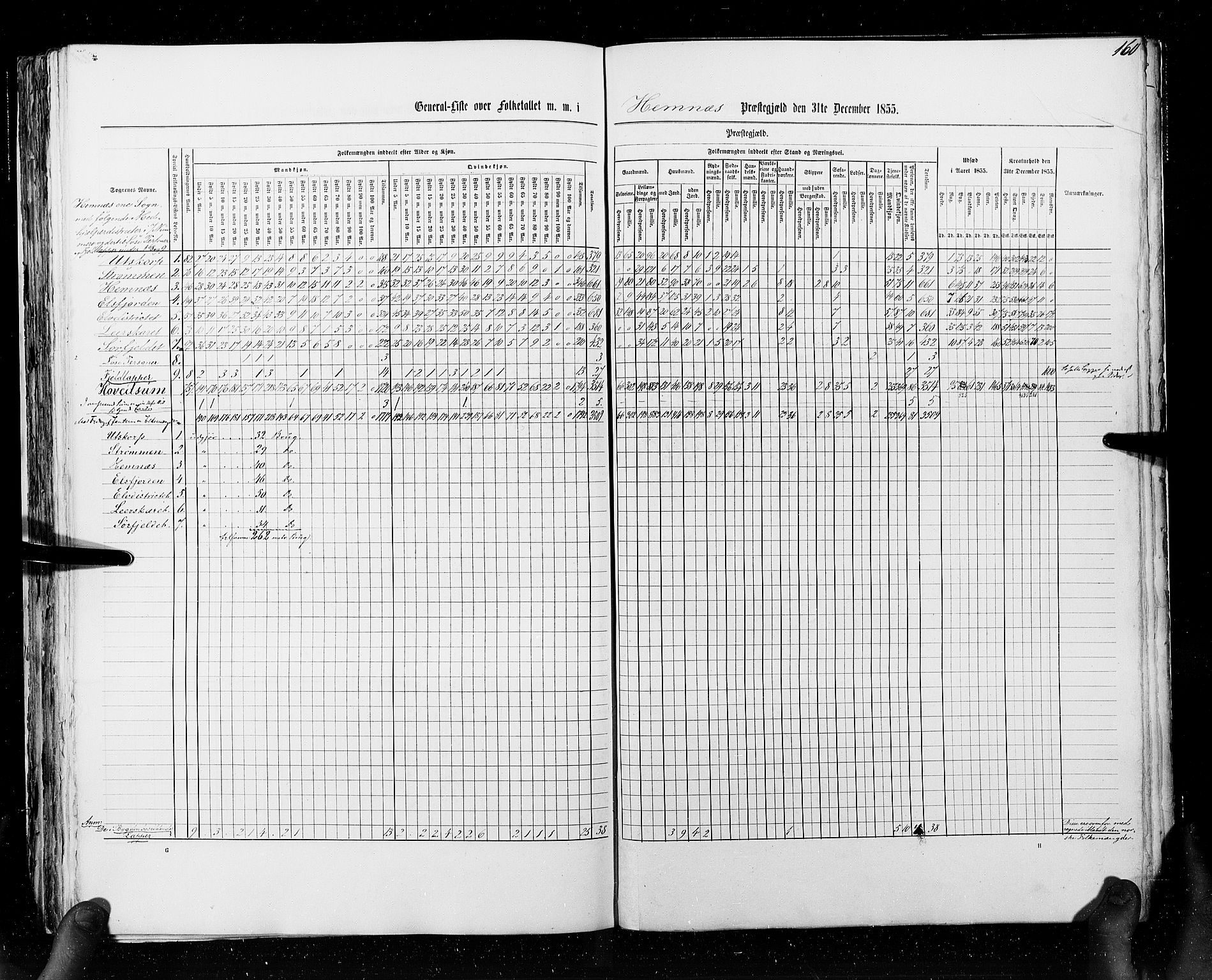 RA, Census 1855, vol. 6A: Nordre Trondhjem amt og Nordland amt, 1855, p. 160