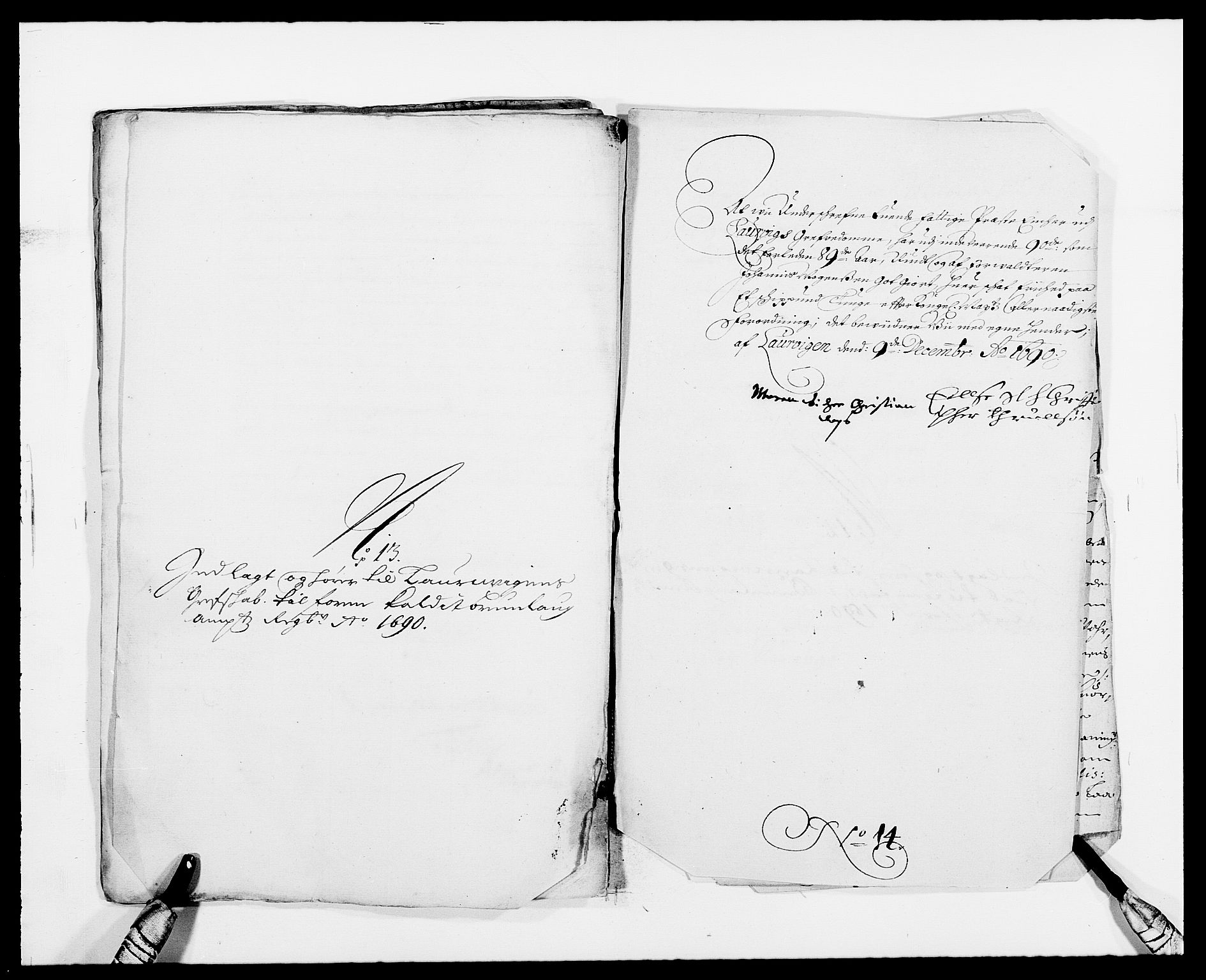 Rentekammeret inntil 1814, Reviderte regnskaper, Fogderegnskap, AV/RA-EA-4092/R33/L1972: Fogderegnskap Larvik grevskap, 1690-1691, p. 232