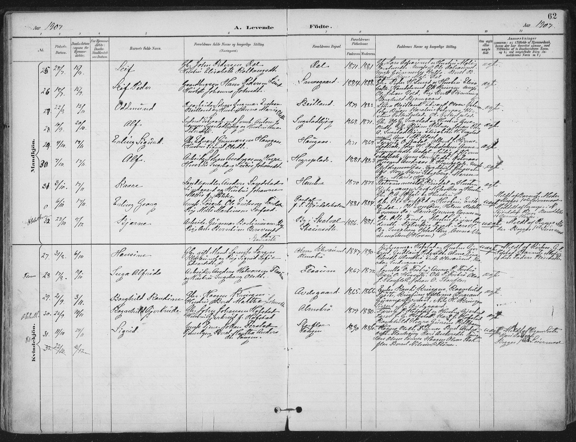 Ministerialprotokoller, klokkerbøker og fødselsregistre - Nord-Trøndelag, AV/SAT-A-1458/703/L0031: Parish register (official) no. 703A04, 1893-1914, p. 62