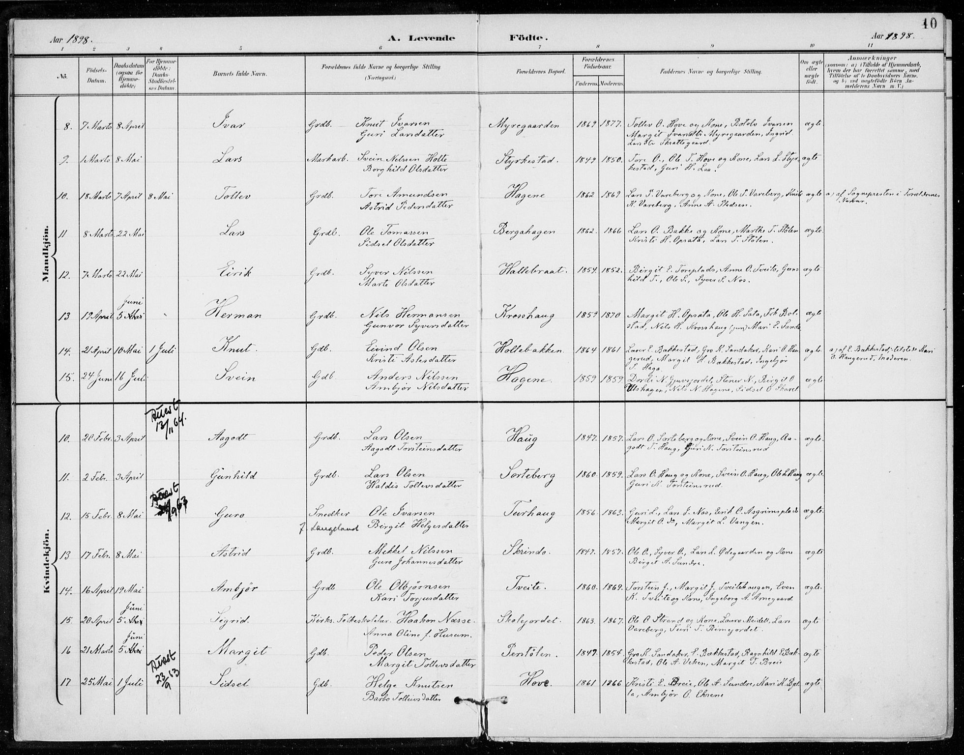Ål kirkebøker, SAKO/A-249/F/Fa/L0009: Parish register (official) no. I 9, 1897-1915, p. 10