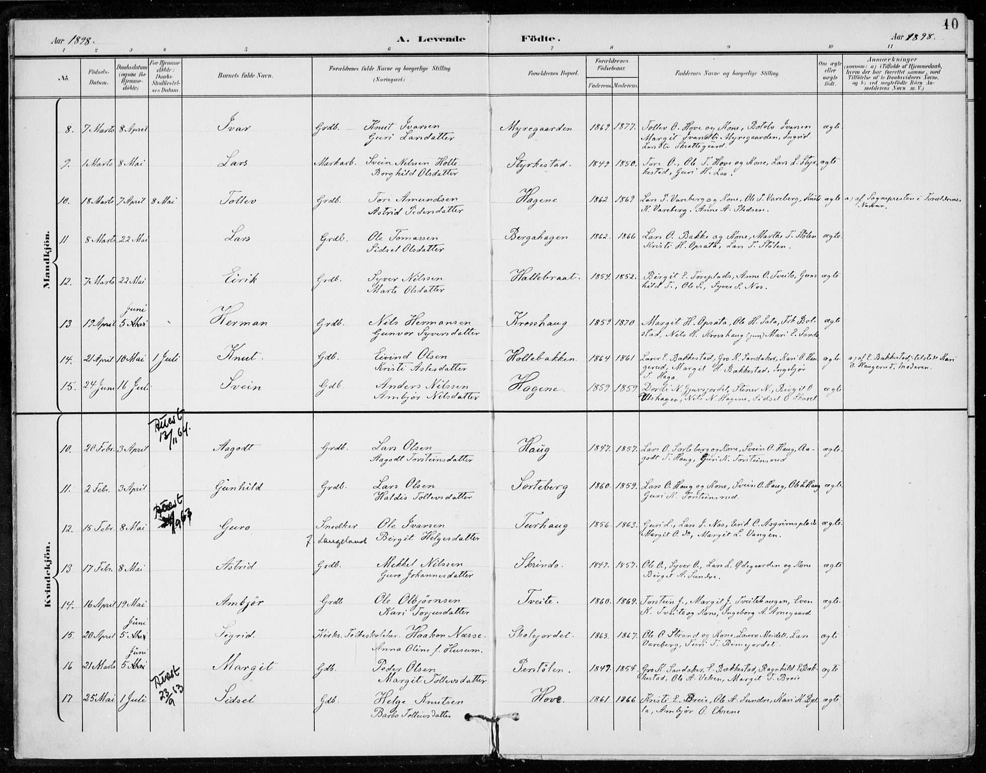 Ål kirkebøker, AV/SAKO-A-249/F/Fa/L0009: Parish register (official) no. I 9, 1897-1915, p. 10