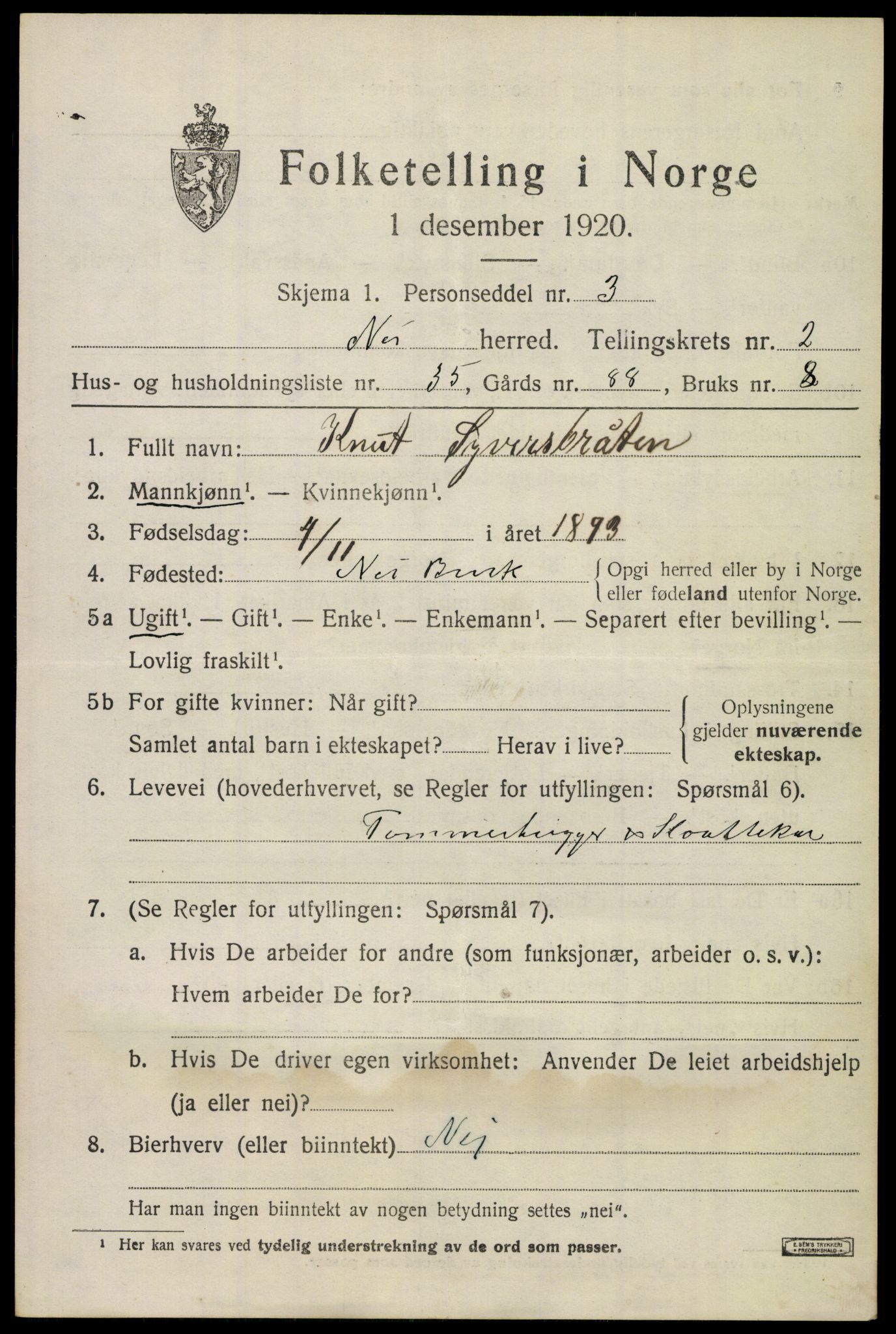 SAKO, 1920 census for Nes (Buskerud), 1920, p. 1620