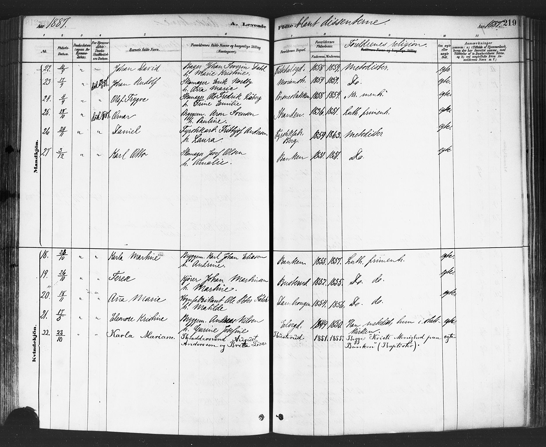 Halden prestekontor Kirkebøker, SAO/A-10909/F/Fa/L0011: Parish register (official) no. I 11, 1878-1889, p. 219