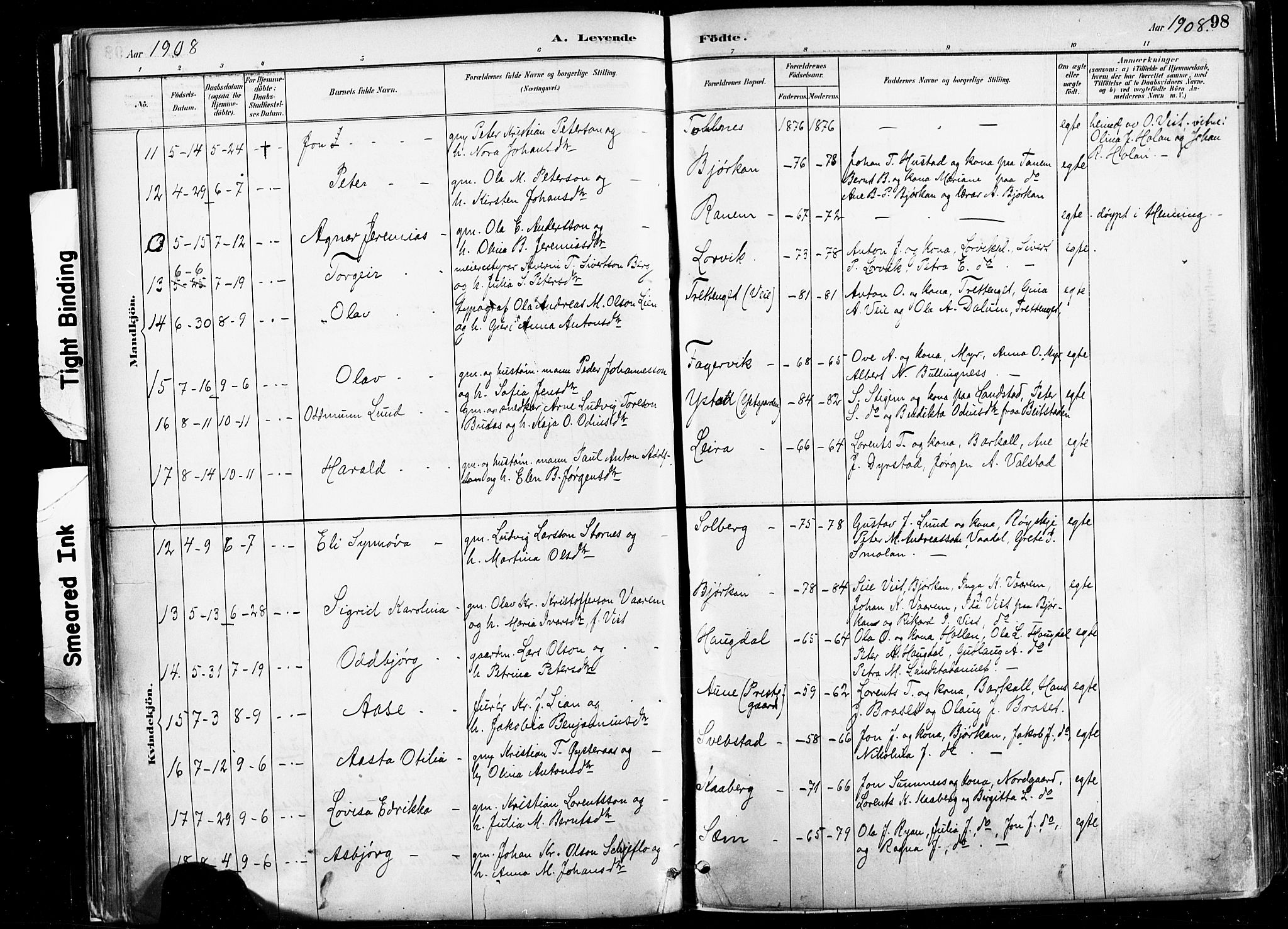 Ministerialprotokoller, klokkerbøker og fødselsregistre - Nord-Trøndelag, SAT/A-1458/735/L0351: Parish register (official) no. 735A10, 1884-1908, p. 98