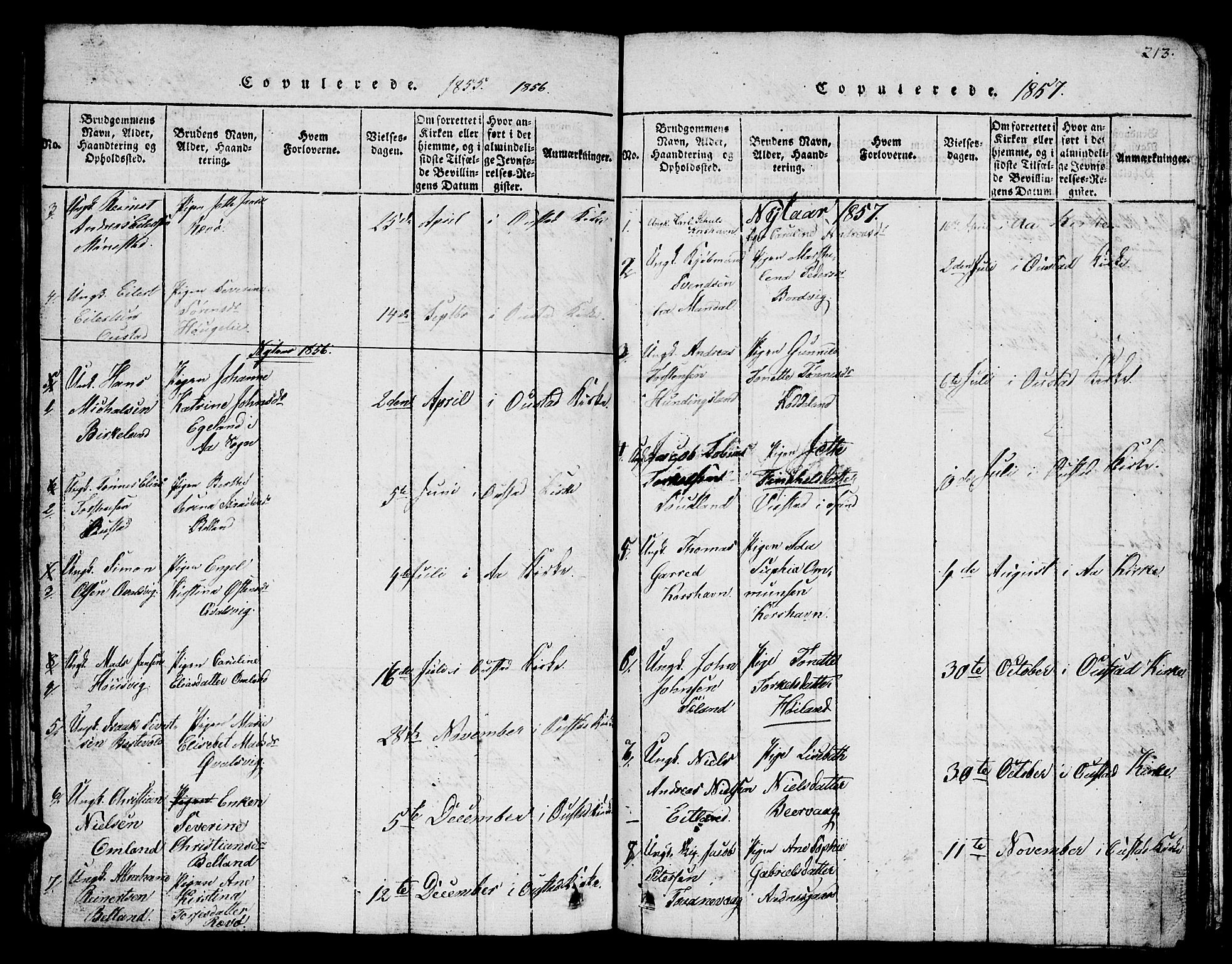 Lyngdal sokneprestkontor, SAK/1111-0029/F/Fb/Fba/L0001: Parish register (copy) no. B 1, 1816-1876, p. 213
