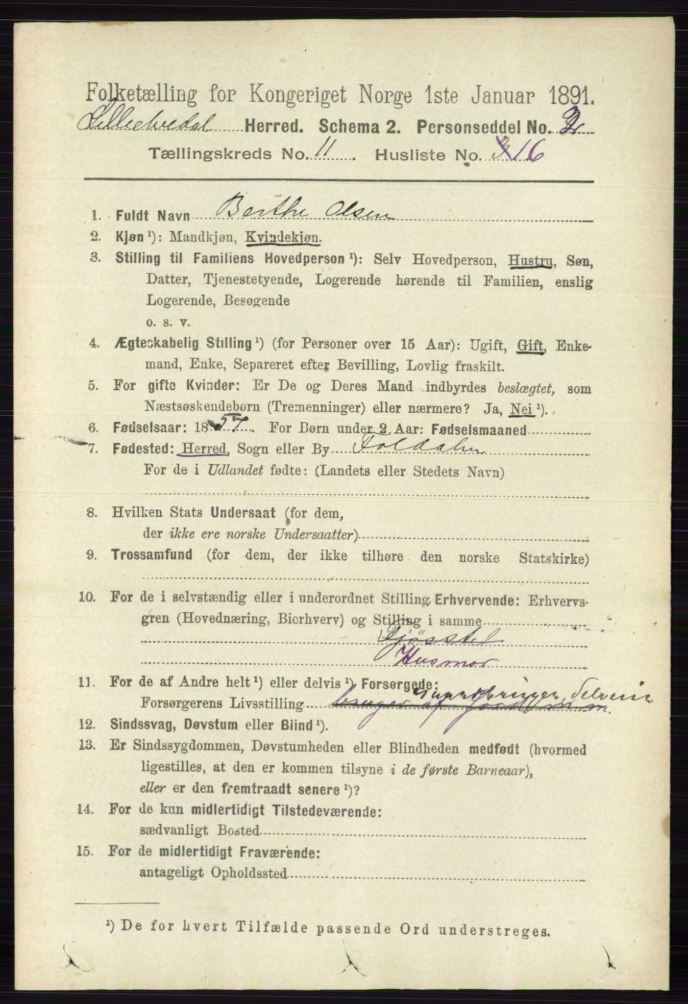 RA, 1891 census for 0438 Lille Elvedalen, 1891, p. 3899