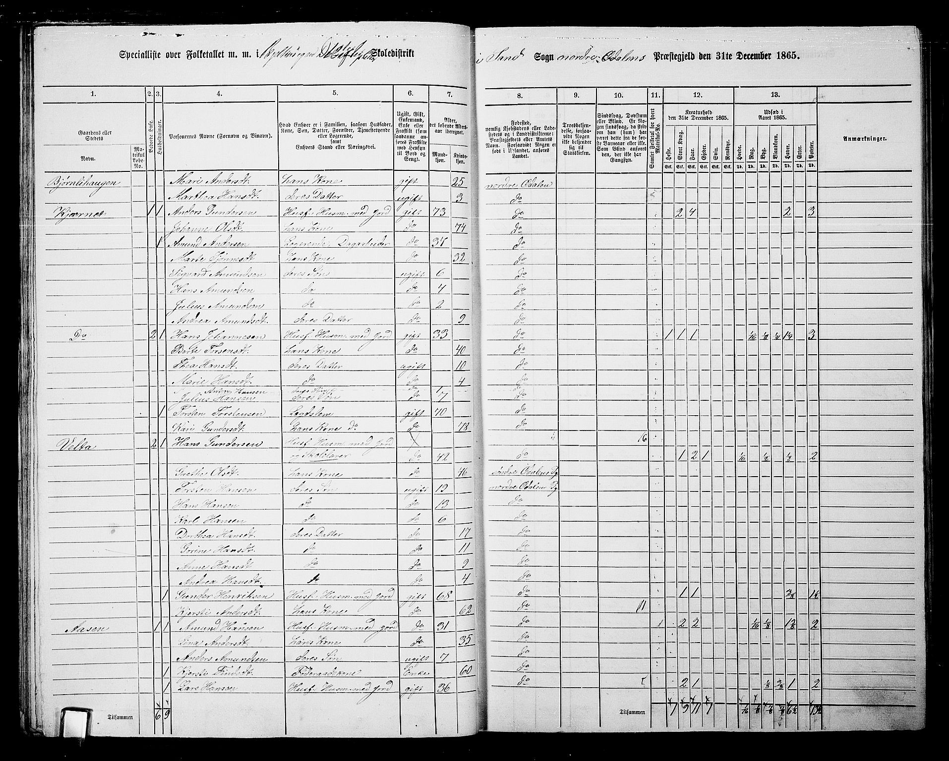 RA, 1865 census for Nord-Odal, 1865, p. 24