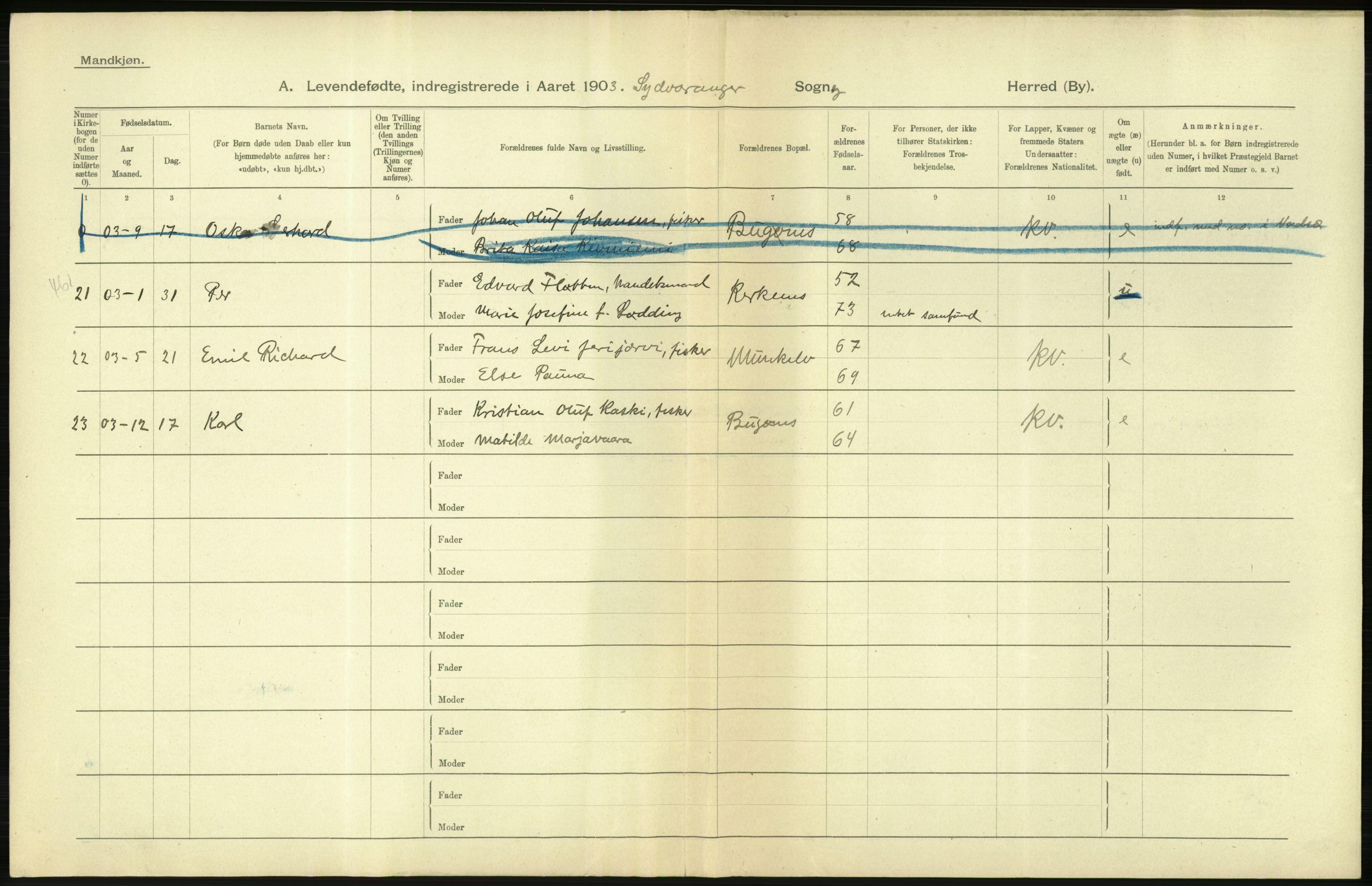 Statistisk sentralbyrå, Sosiodemografiske emner, Befolkning, AV/RA-S-2228/D/Df/Dfa/Dfaa/L0022: Finnmarkens amt: Fødte, gifte, døde., 1903, p. 10