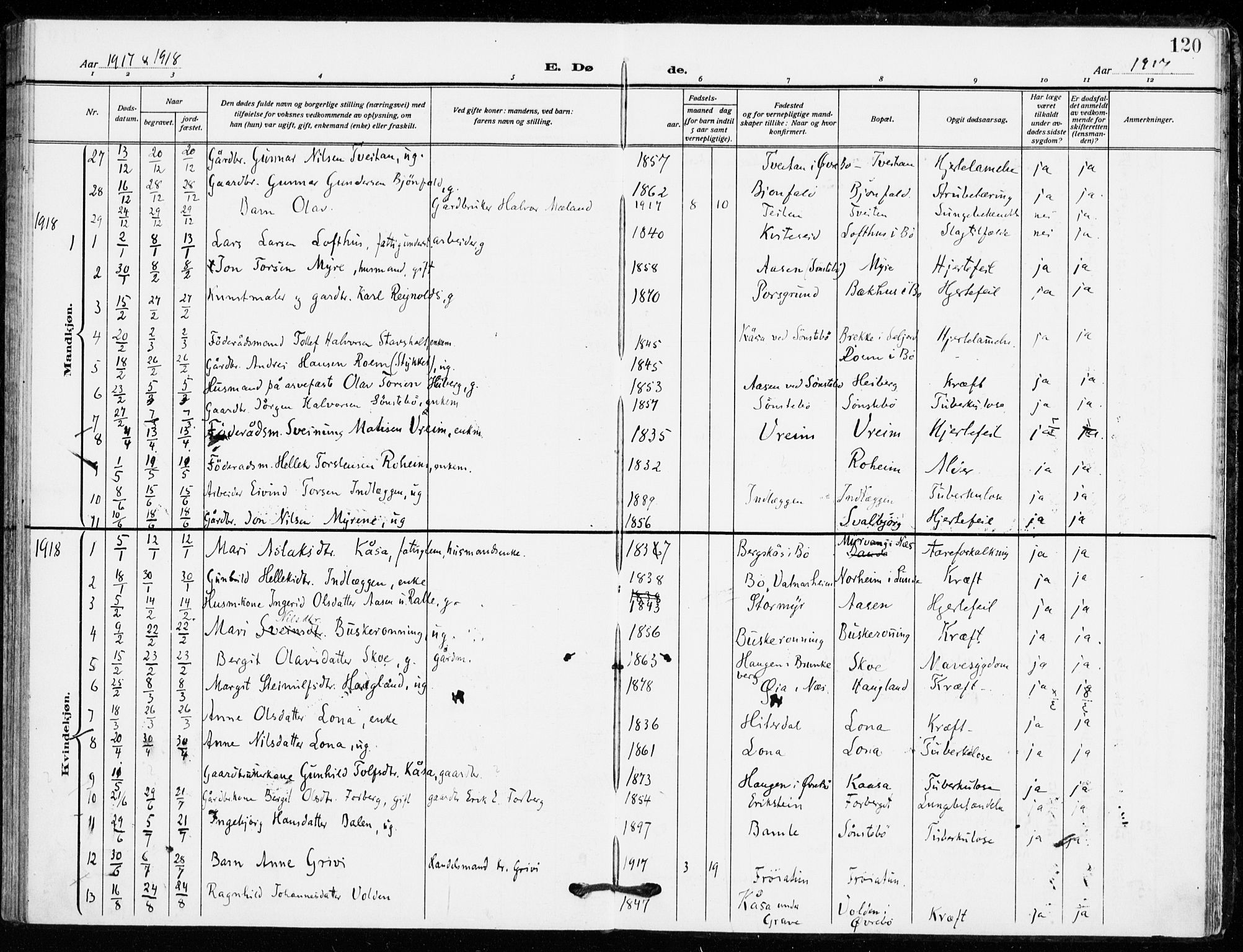 Bø kirkebøker, SAKO/A-257/F/Fa/L0013: Parish register (official) no. 13, 1909-1921, p. 120