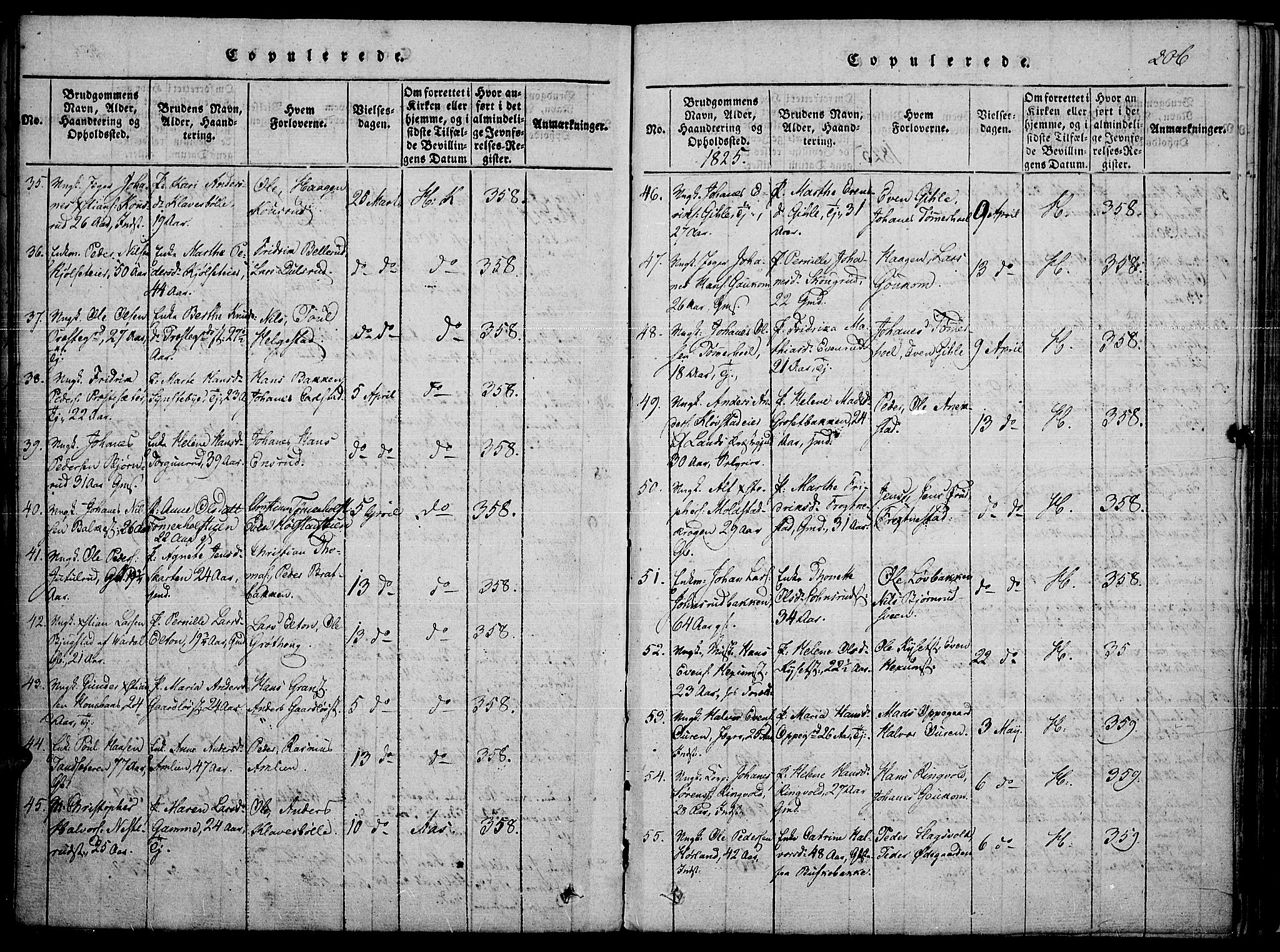 Toten prestekontor, SAH/PREST-102/H/Ha/Haa/L0010: Parish register (official) no. 10, 1820-1828, p. 206