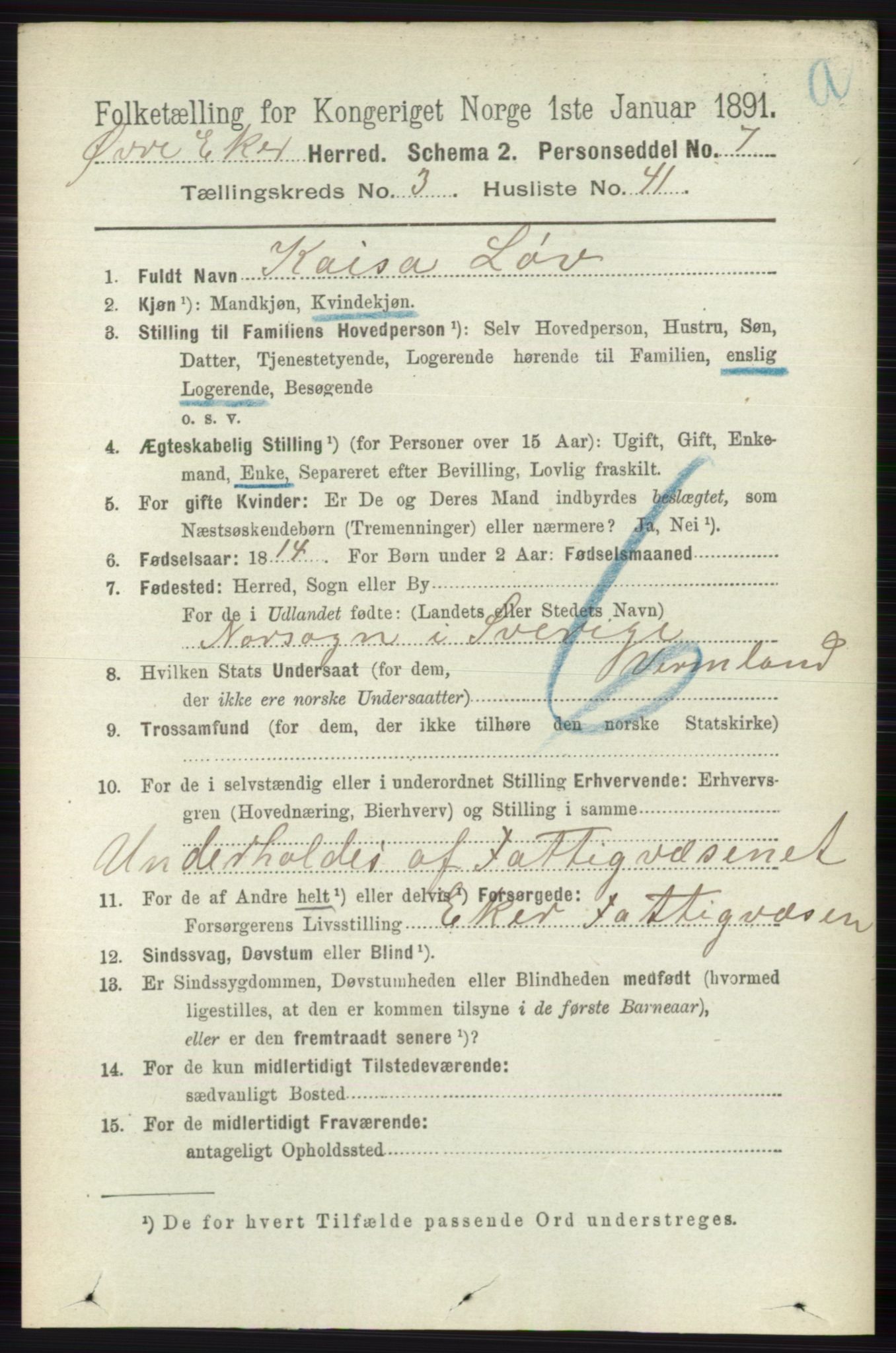 RA, 1891 census for 0624 Øvre Eiker, 1891, p. 1263