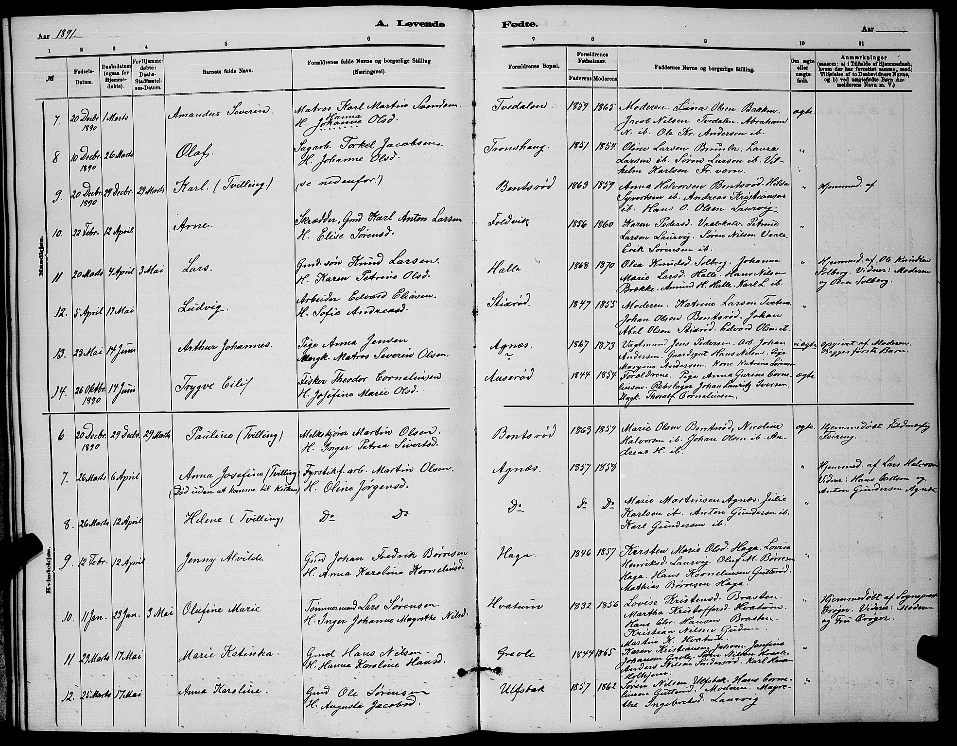 Brunlanes kirkebøker, AV/SAKO-A-342/G/Ga/L0003: Parish register (copy) no. I 3, 1877-1898