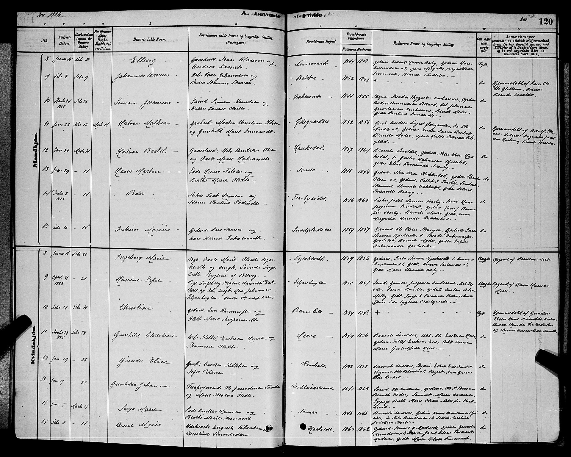 Bamble kirkebøker, AV/SAKO-A-253/G/Ga/L0008: Parish register (copy) no. I 8, 1878-1888, p. 120