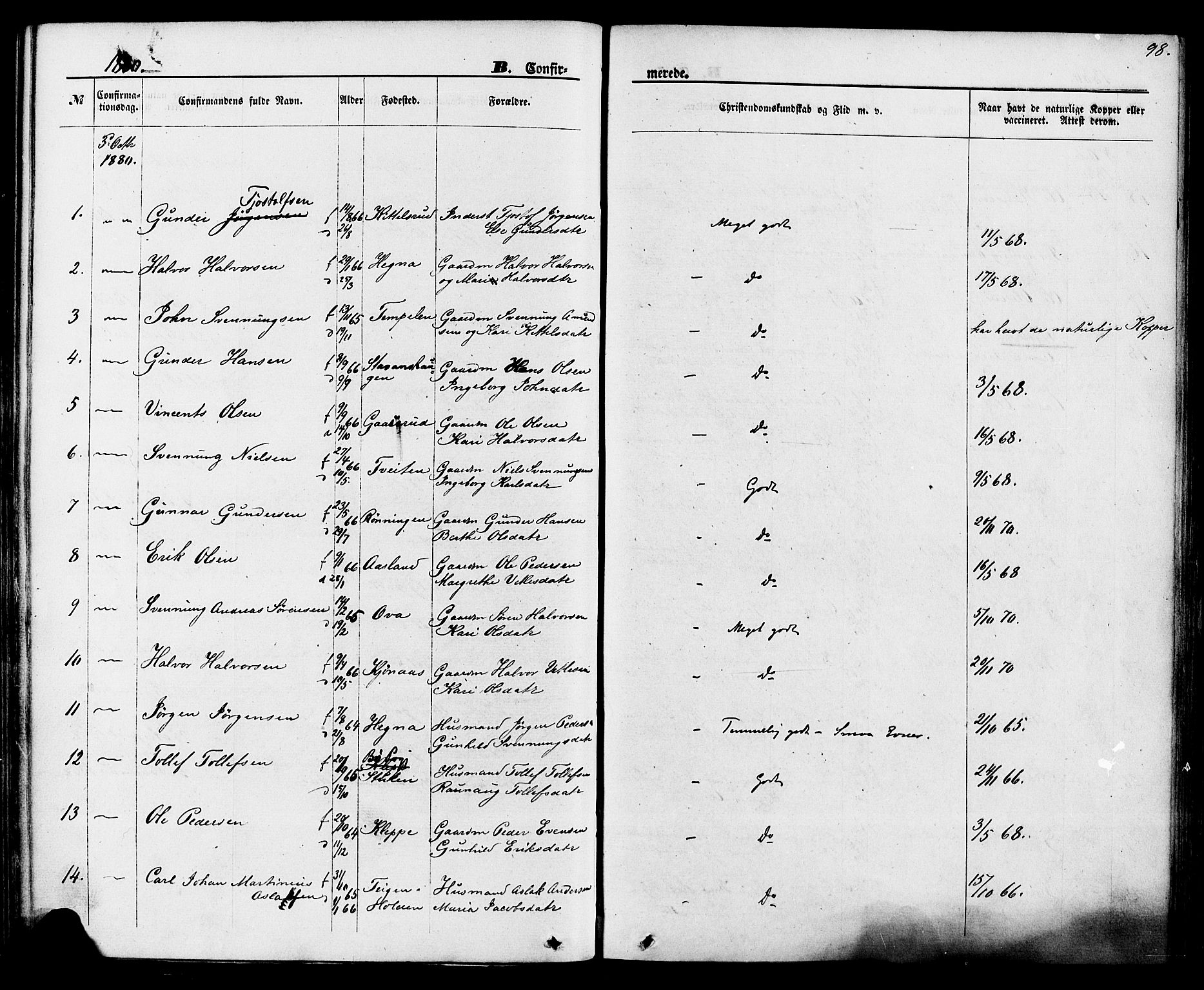 Lunde kirkebøker, SAKO/A-282/F/Fa/L0001: Parish register (official) no. I 1, 1866-1883, p. 98
