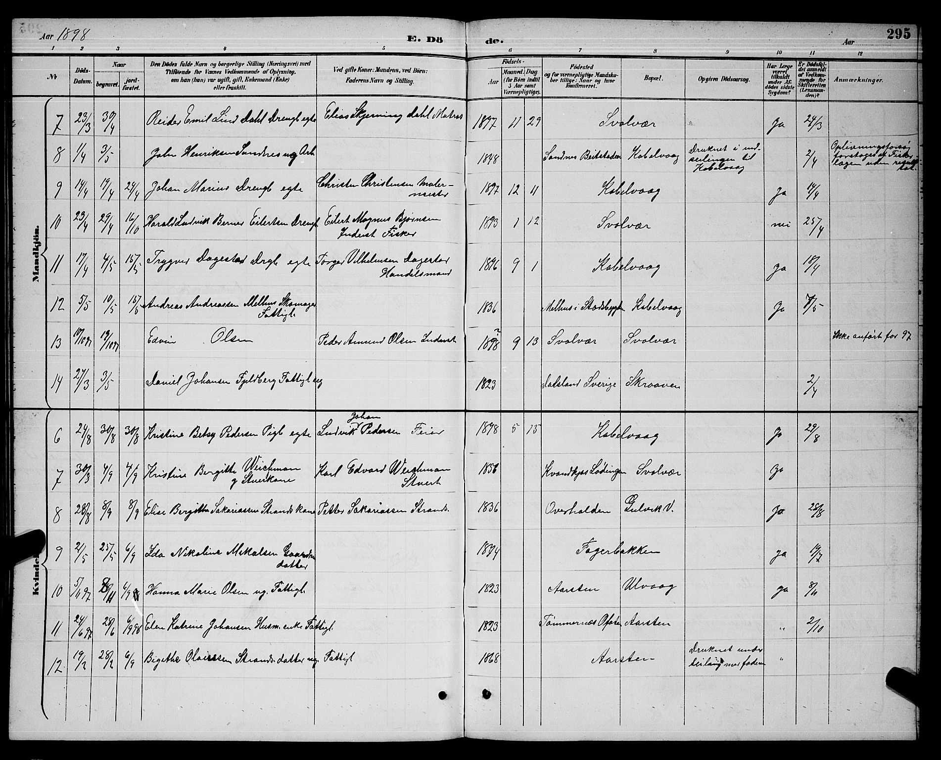 Ministerialprotokoller, klokkerbøker og fødselsregistre - Nordland, AV/SAT-A-1459/874/L1077: Parish register (copy) no. 874C06, 1891-1900, p. 295