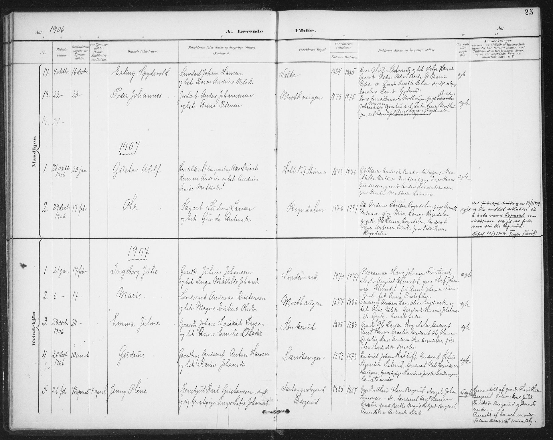 Varteig prestekontor Kirkebøker, SAO/A-10447a/F/Fa/L0003: Parish register (official) no. 3, 1899-1919, p. 25