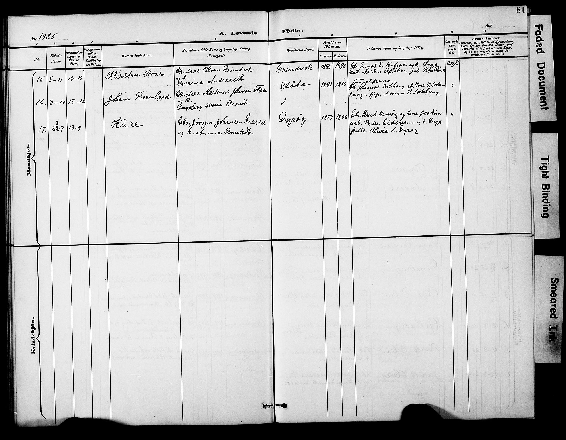 Ministerialprotokoller, klokkerbøker og fødselsregistre - Møre og Romsdal, AV/SAT-A-1454/524/L0366: Parish register (copy) no. 524C07, 1900-1931, p. 81