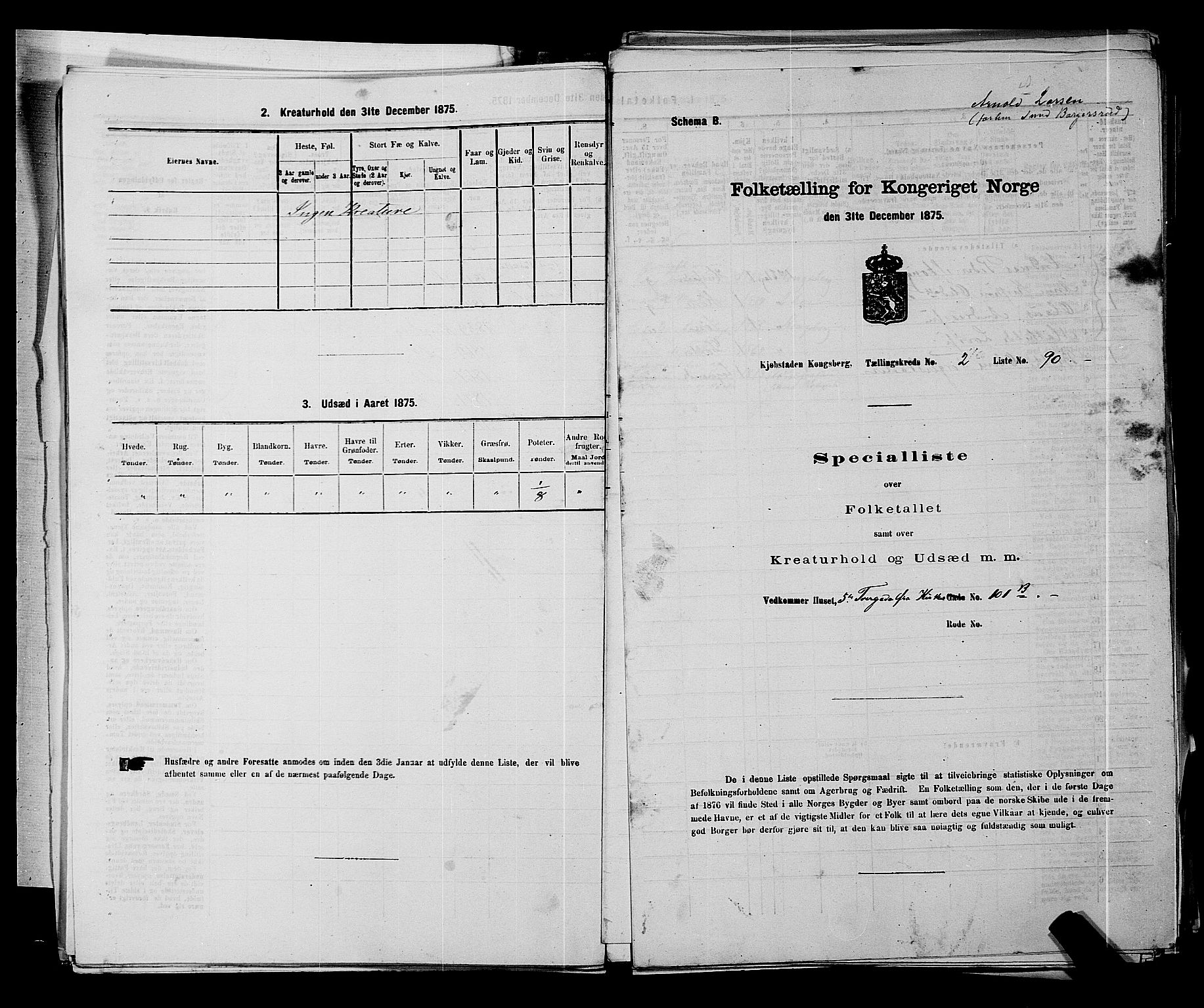 SAKO, 1875 census for 0604B Kongsberg/Kongsberg, 1875, p. 229