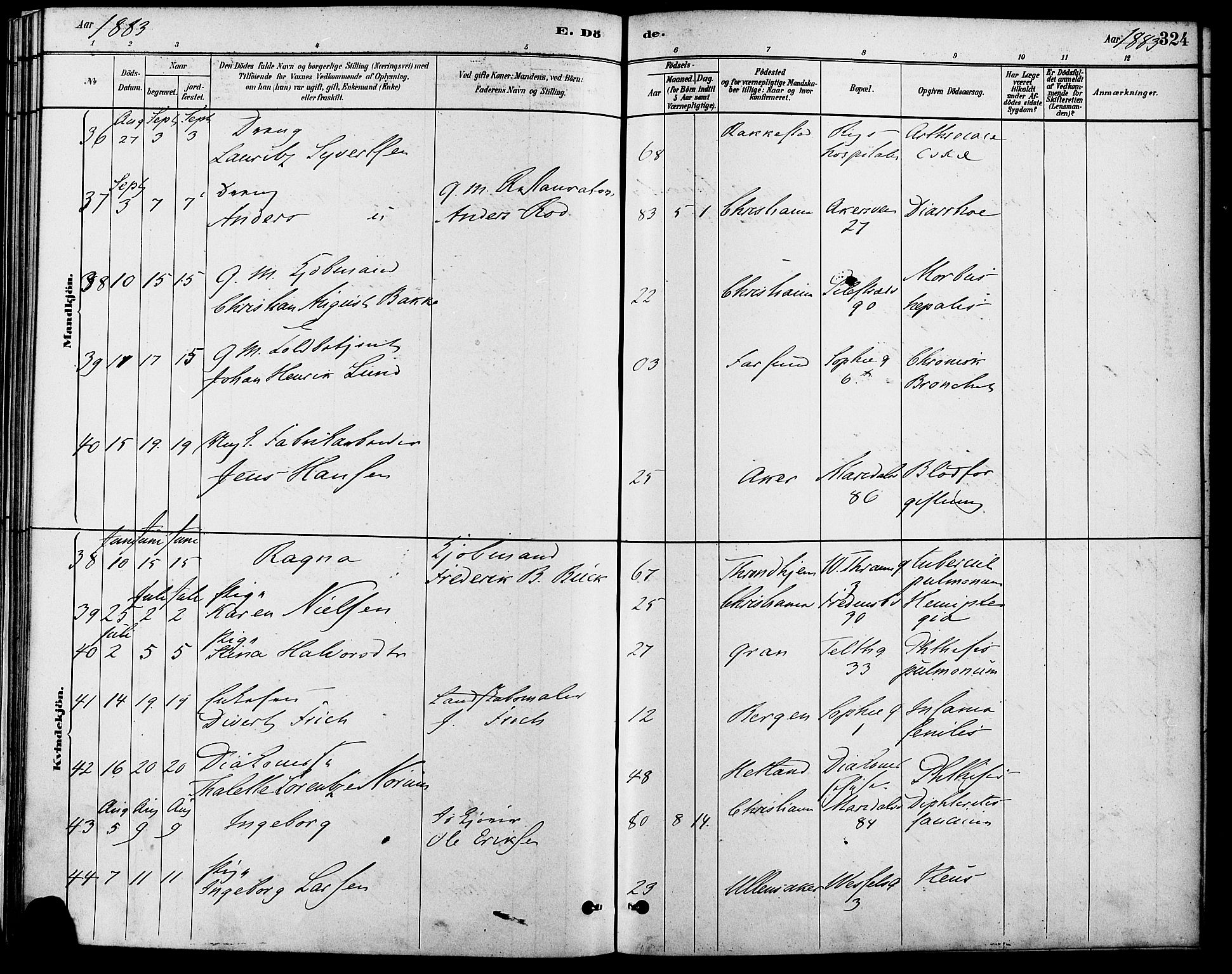 Gamle Aker prestekontor Kirkebøker, AV/SAO-A-10617a/F/L0006: Parish register (official) no. 6, 1880-1887, p. 324