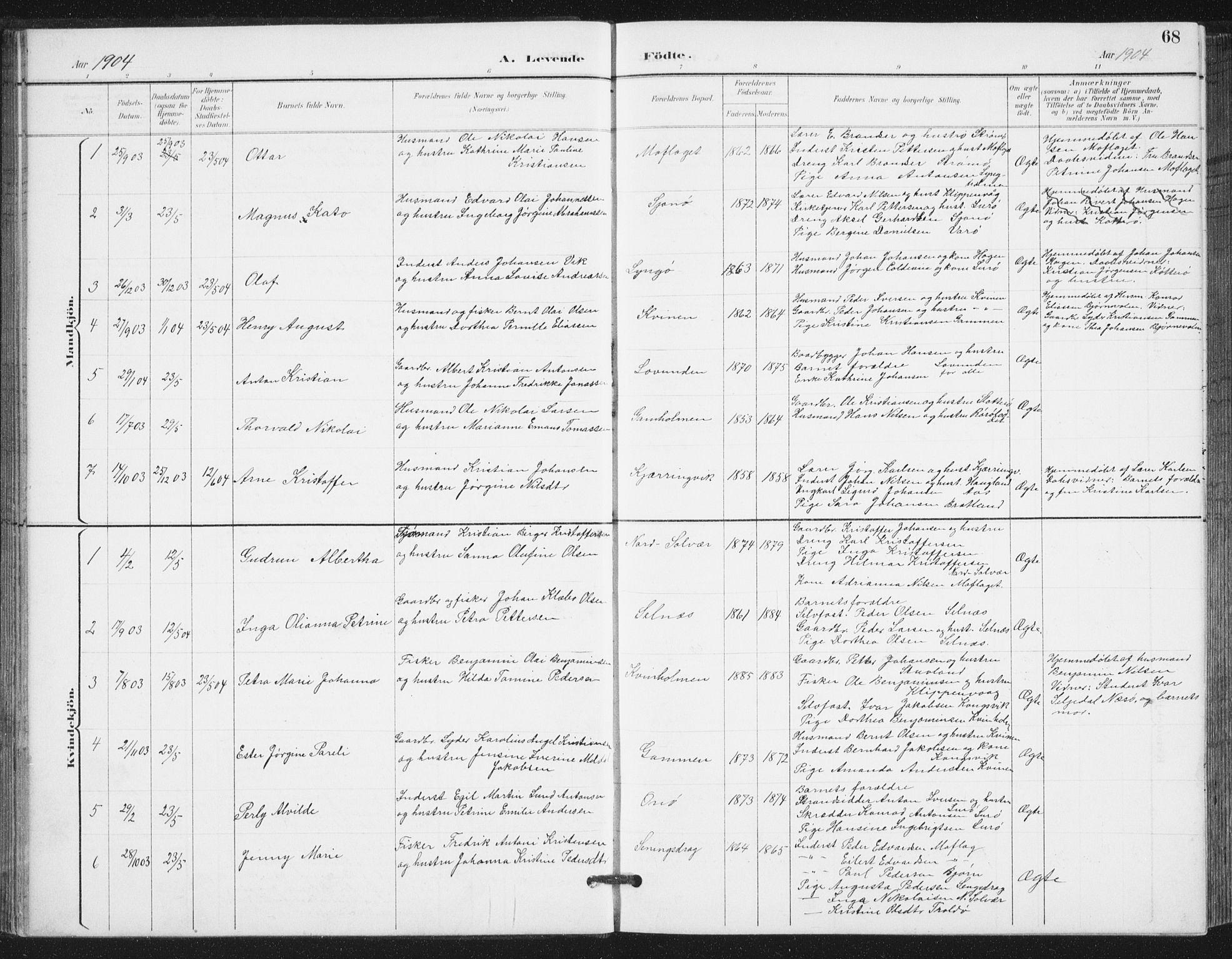 Ministerialprotokoller, klokkerbøker og fødselsregistre - Nordland, SAT/A-1459/839/L0573: Parish register (copy) no. 839C03, 1892-1917, p. 68