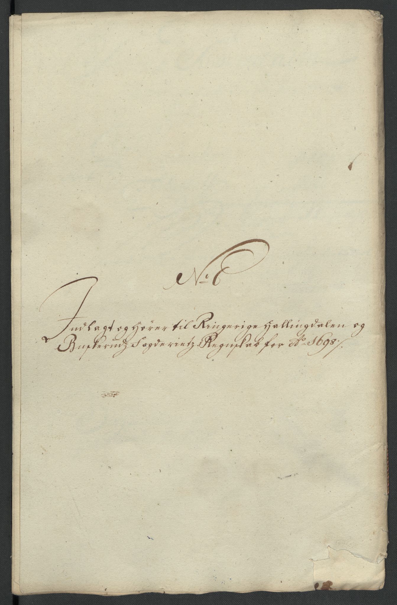 Rentekammeret inntil 1814, Reviderte regnskaper, Fogderegnskap, AV/RA-EA-4092/R22/L1455: Fogderegnskap Ringerike, Hallingdal og Buskerud, 1698, p. 252