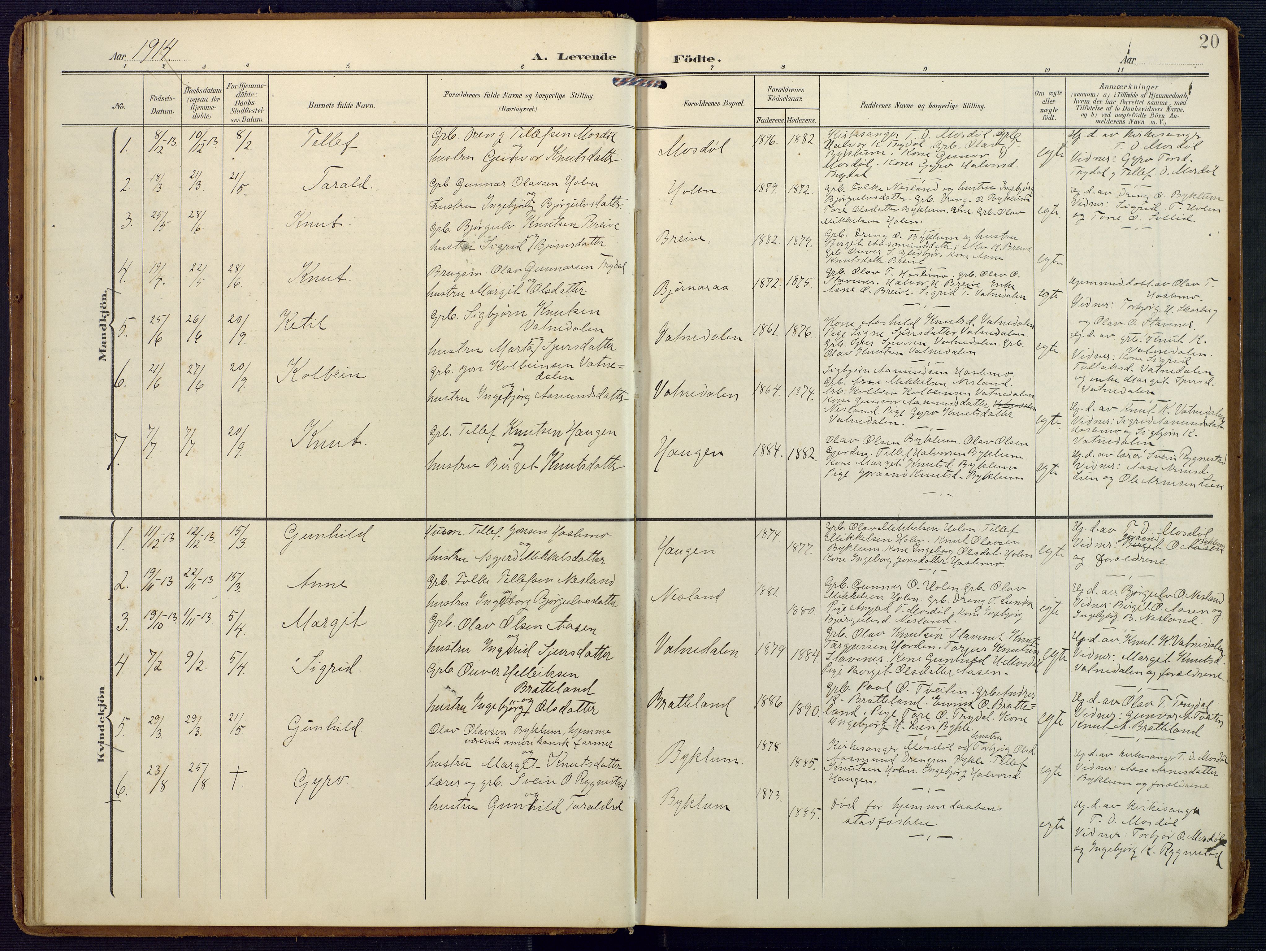 Valle sokneprestkontor, SAK/1111-0044/F/Fa/Faa/L0002: Parish register (official) no. A 2, 1907-1919, p. 20