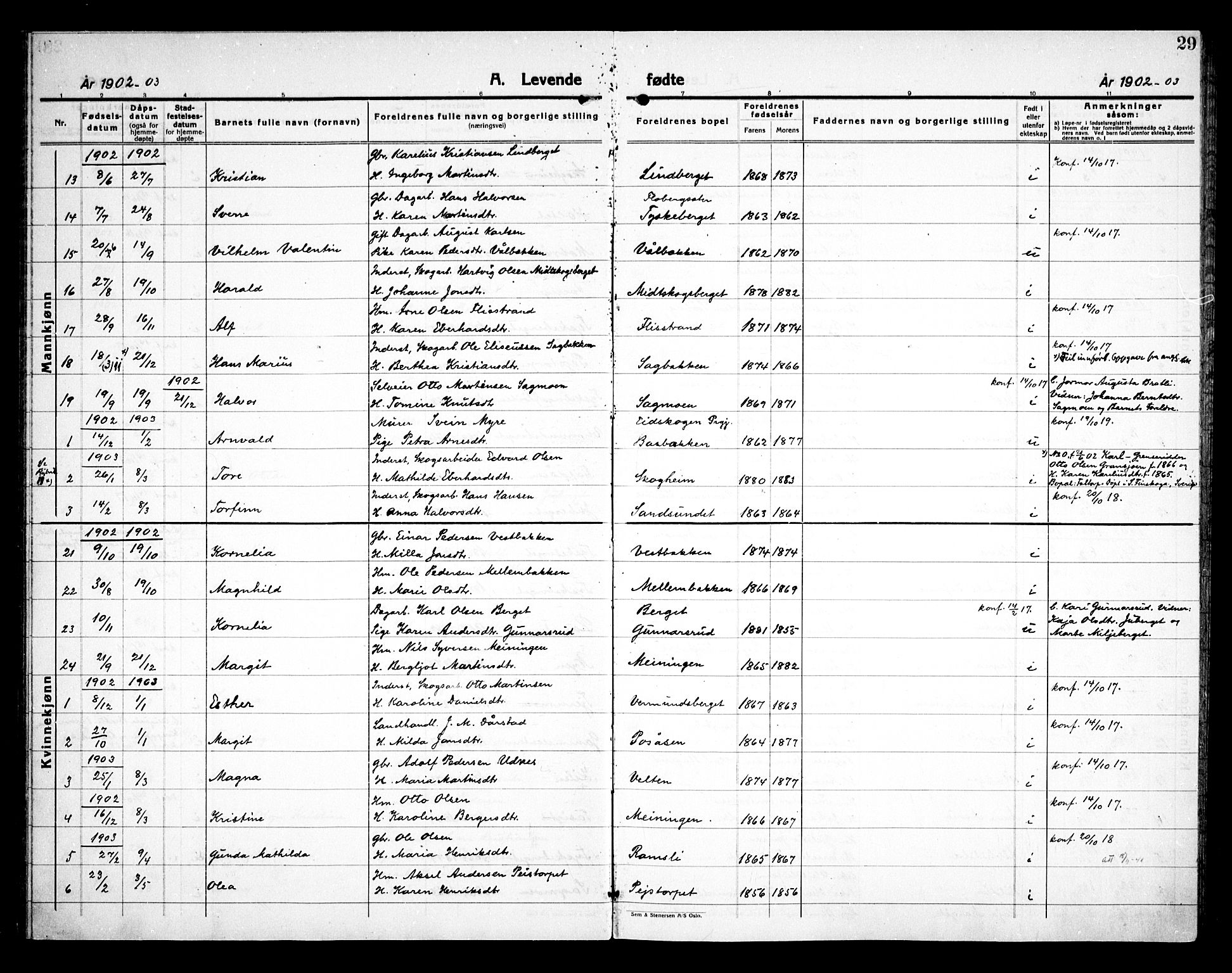 Åsnes prestekontor, AV/SAH-PREST-042/H/Ha/Haa/L0000E: Parish register (official) no. 0C, 1890-1929, p. 29