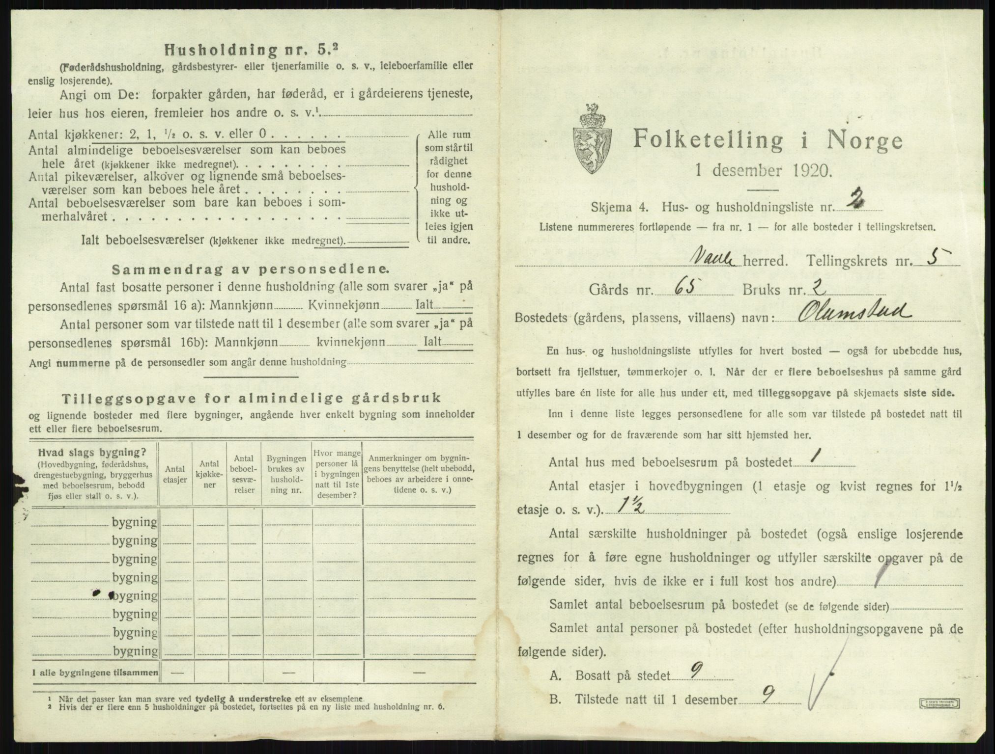 SAKO, 1920 census for Våle, 1920, p. 507