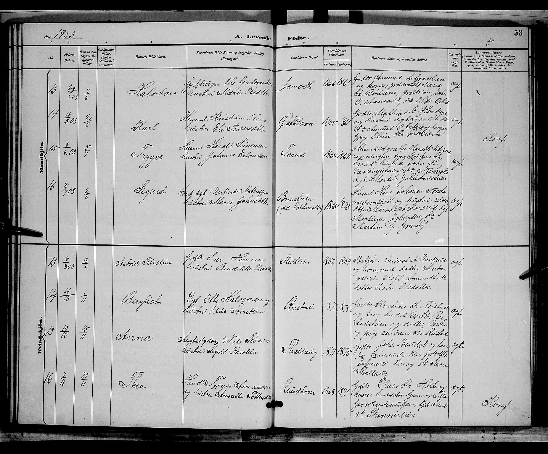 Østre Gausdal prestekontor, AV/SAH-PREST-092/H/Ha/Hab/L0002: Parish register (copy) no. 2, 1894-1904, p. 53