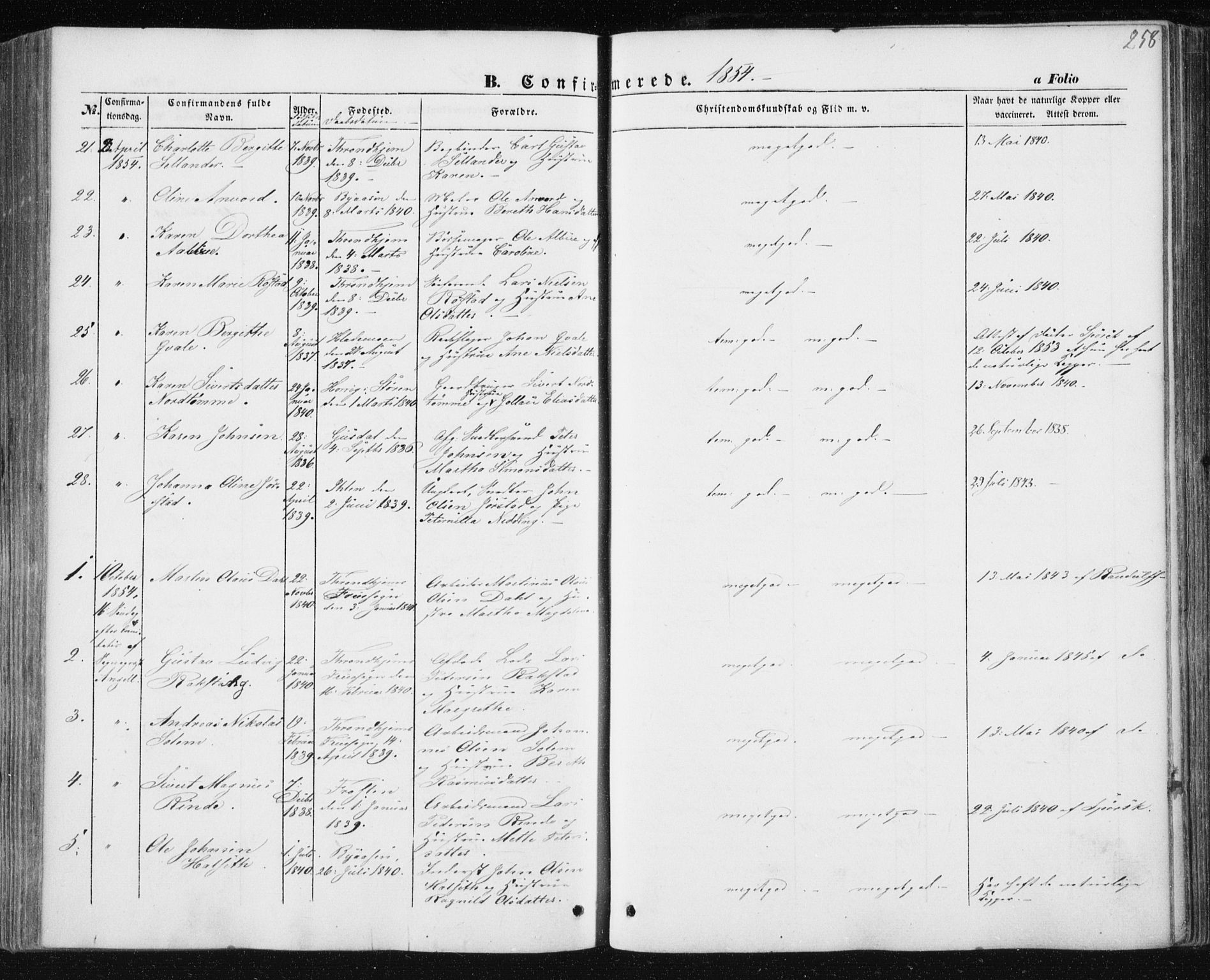 Ministerialprotokoller, klokkerbøker og fødselsregistre - Sør-Trøndelag, AV/SAT-A-1456/602/L0112: Parish register (official) no. 602A10, 1848-1859, p. 258