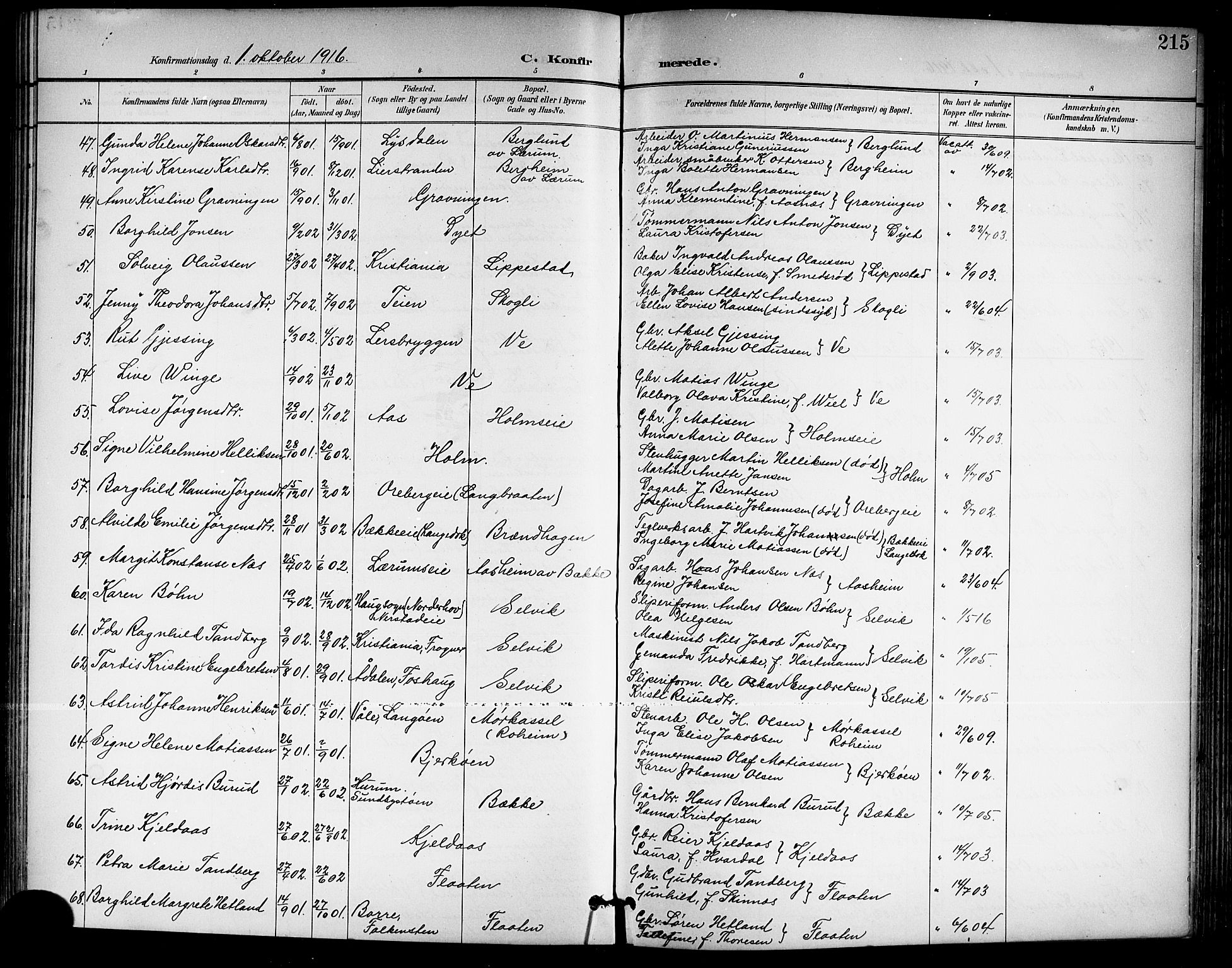 Sande Kirkebøker, AV/SAKO-A-53/G/Ga/L0004: Parish register (copy) no. 4, 1895-1918, p. 215