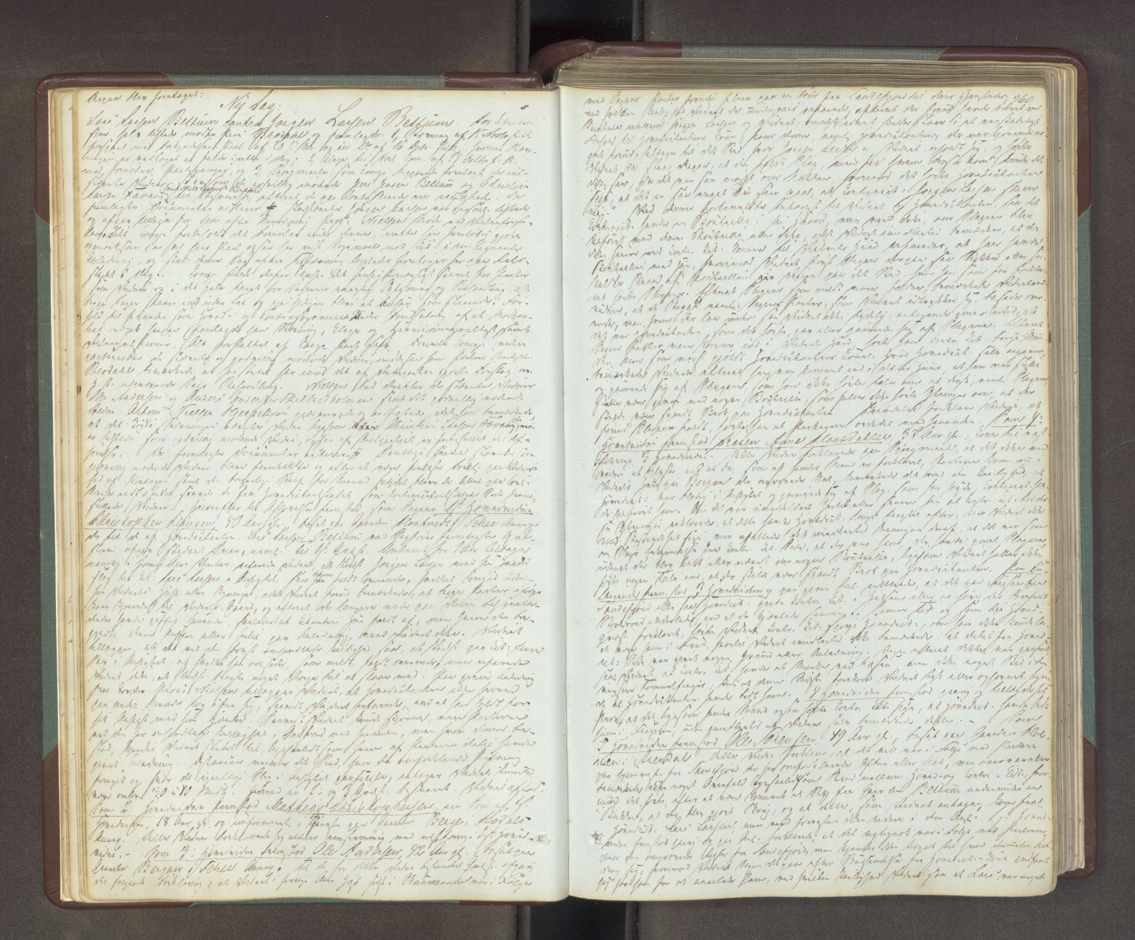 Søndre Jarlsberg sorenskriveri, AV/SAKO-A-129/F/Fa/L0034B: Tingbok, 1850-1856, p. 259b-260a