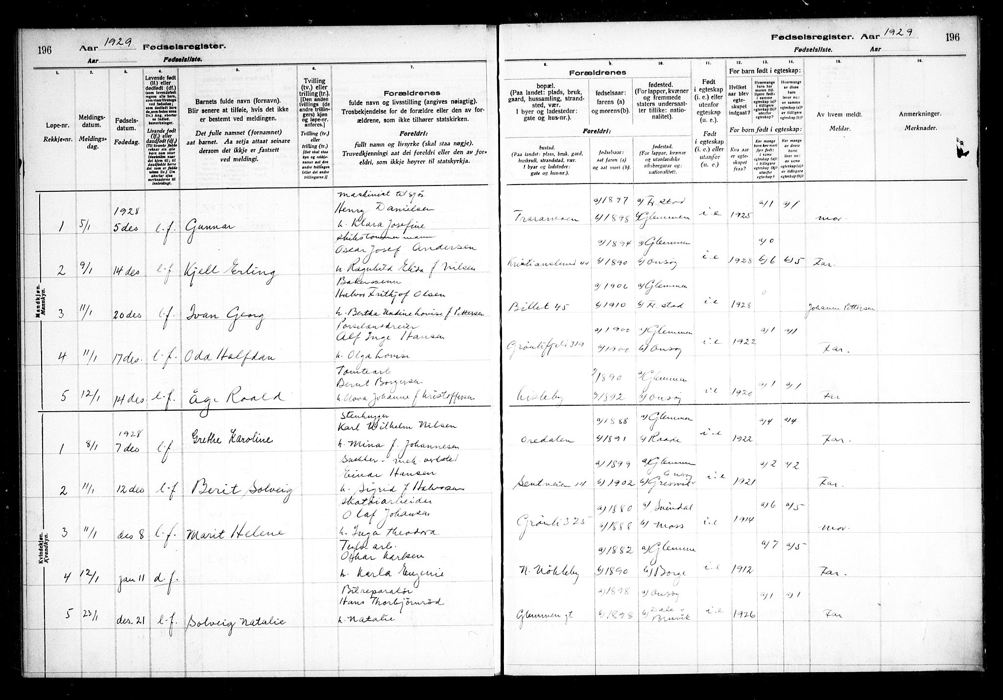 Glemmen prestekontor Kirkebøker, AV/SAO-A-10908/J/Ja/L0002: Birth register no. I 2, 1922-1929, p. 196