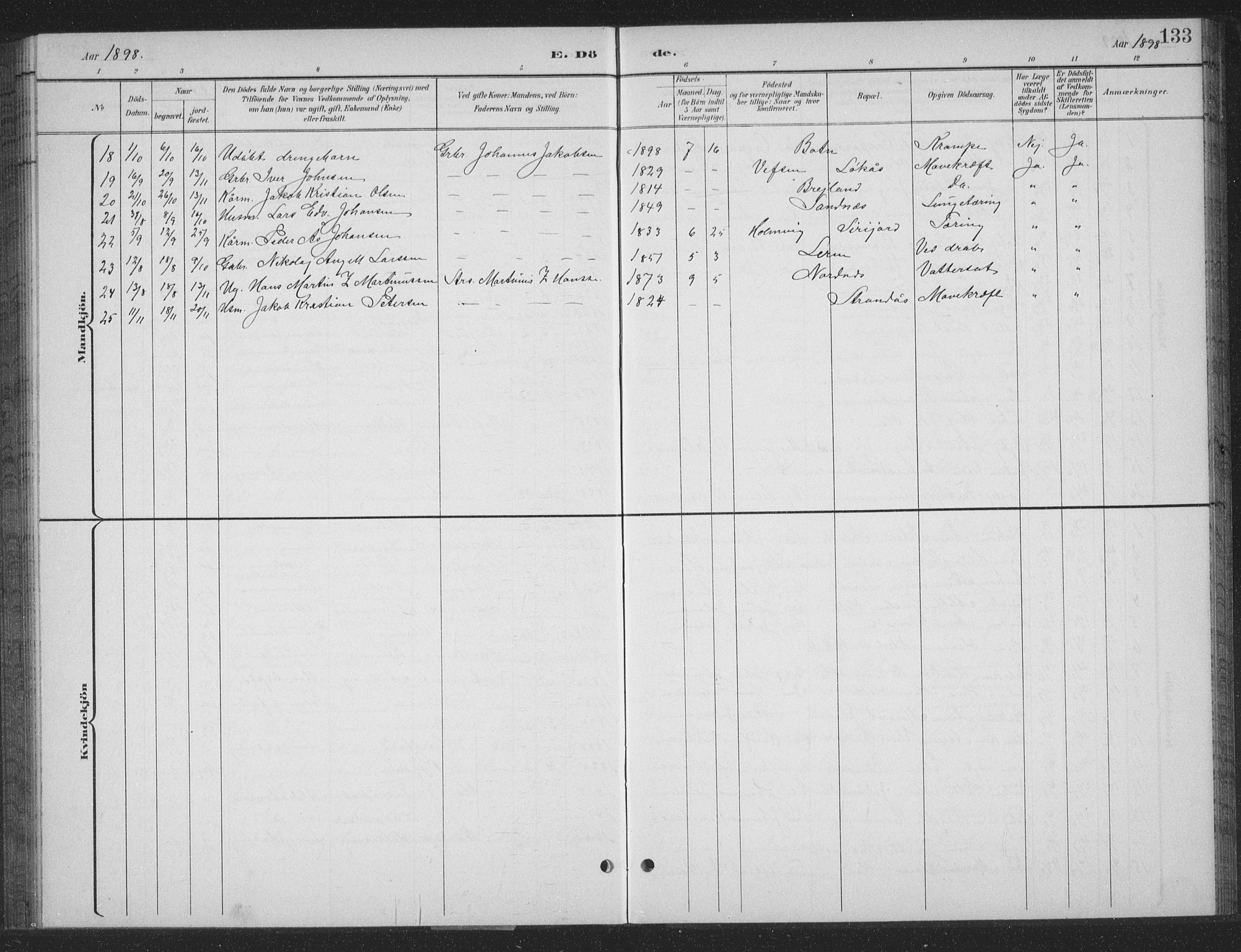 Ministerialprotokoller, klokkerbøker og fødselsregistre - Nordland, AV/SAT-A-1459/831/L0479: Parish register (copy) no. 831C06, 1897-1936, p. 133