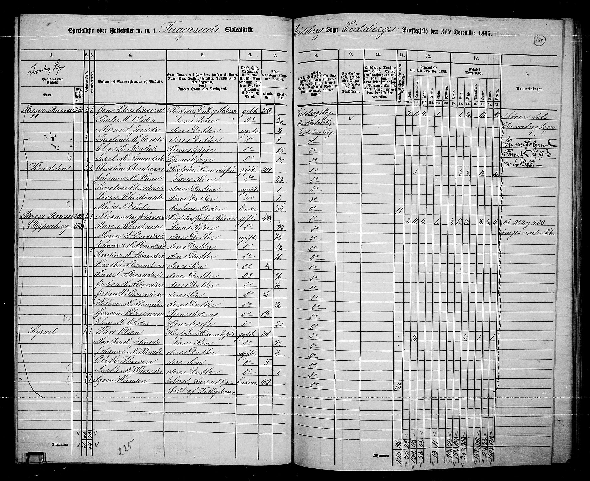 RA, 1865 census for Eidsberg, 1865, p. 153