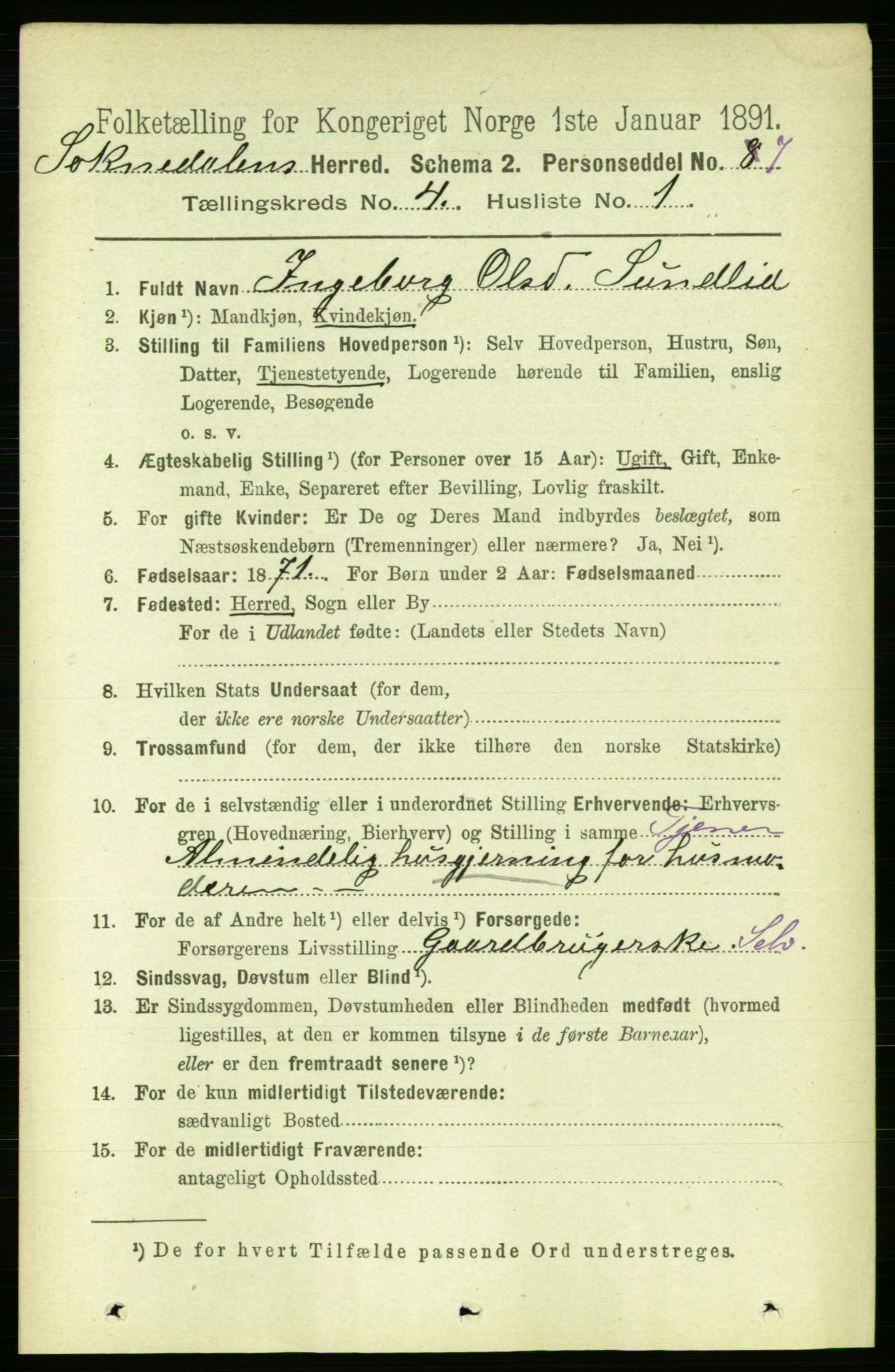 RA, 1891 census for 1649 Soknedal, 1891, p. 1607