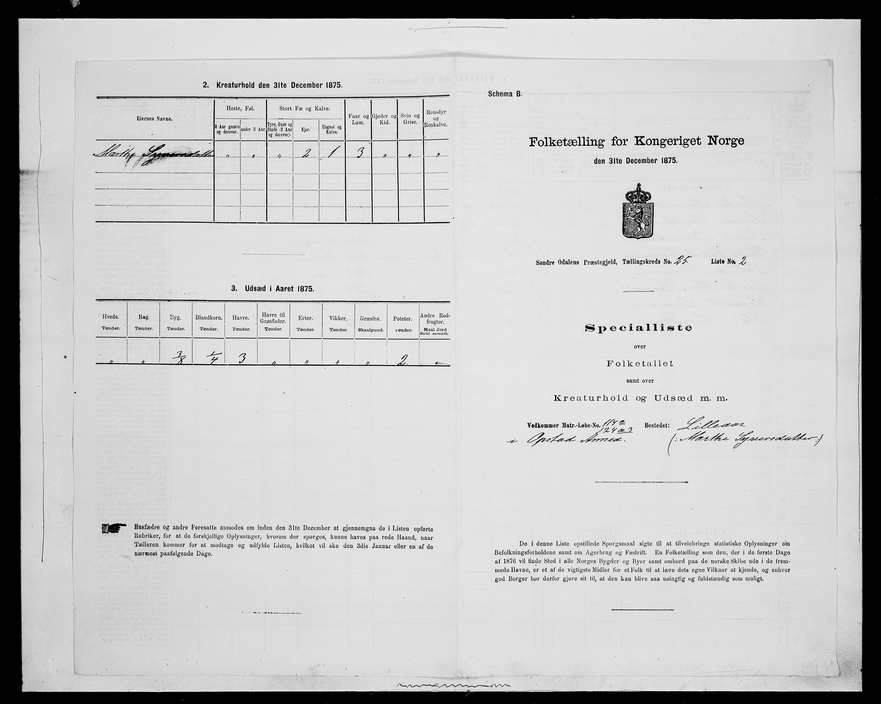 SAH, 1875 census for 0419P Sør-Odal, 1875, p. 2099