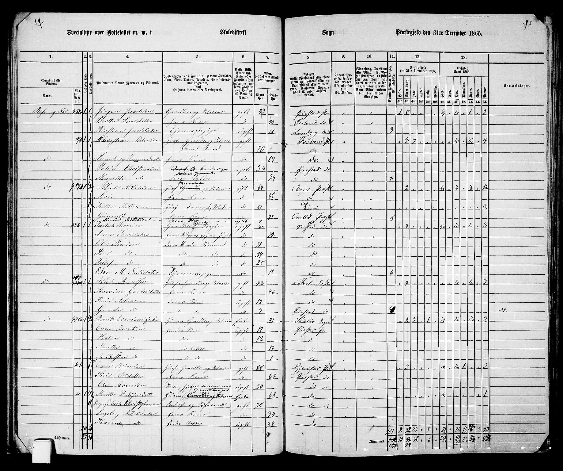 RA, 1865 census for Øyestad, 1865, p. 30